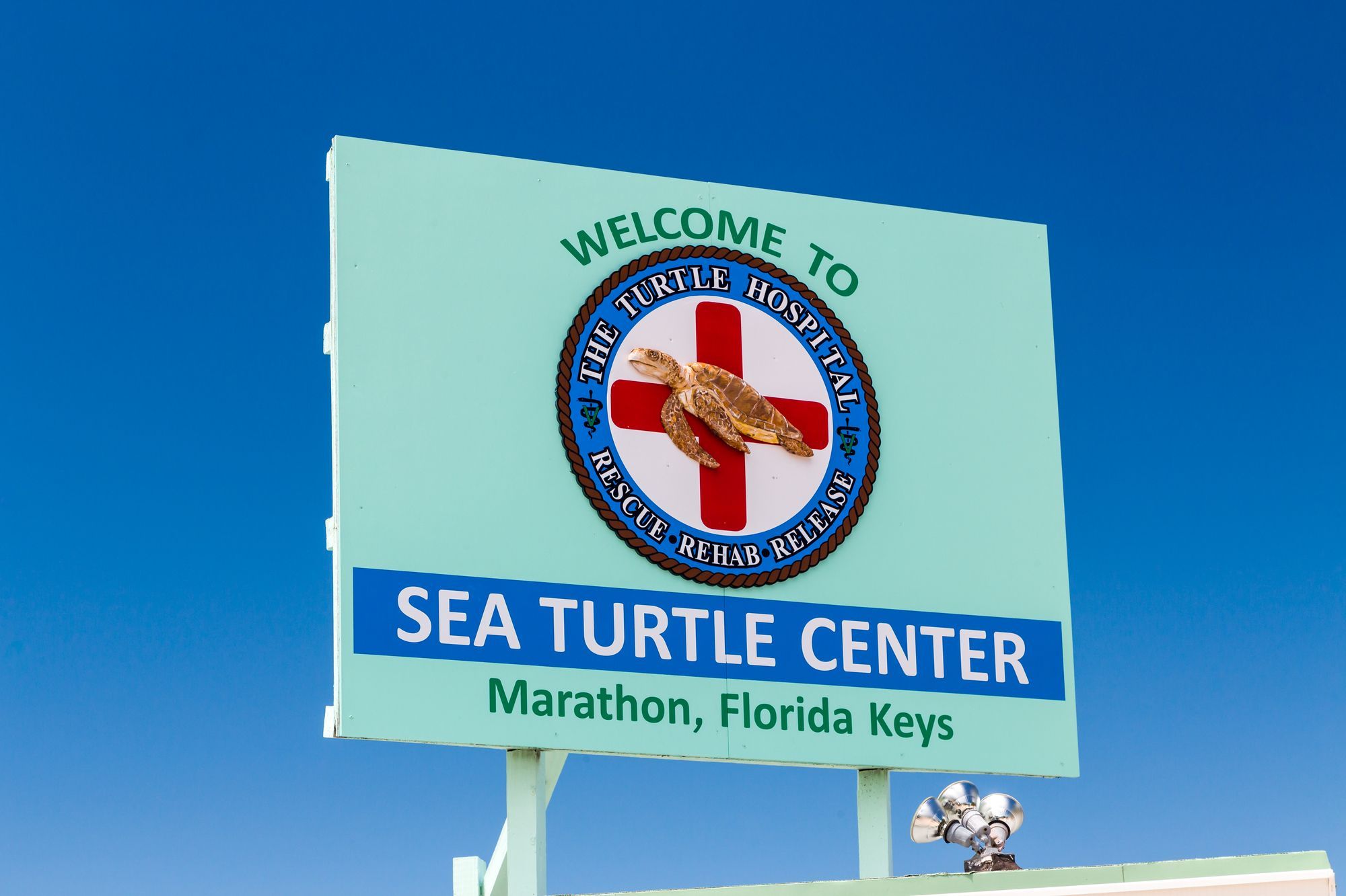 Turtle Hospital, Sea Turtle Center