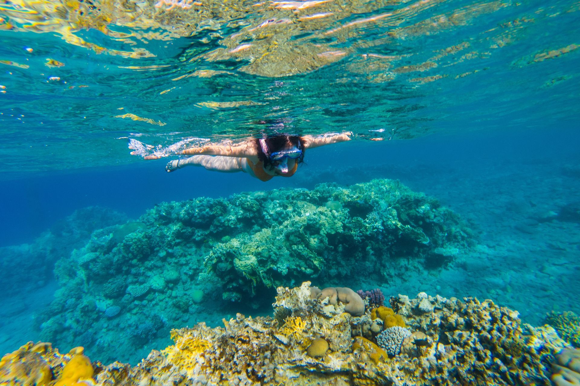 Stunning Views At Grand Cayman's Coral Gardens