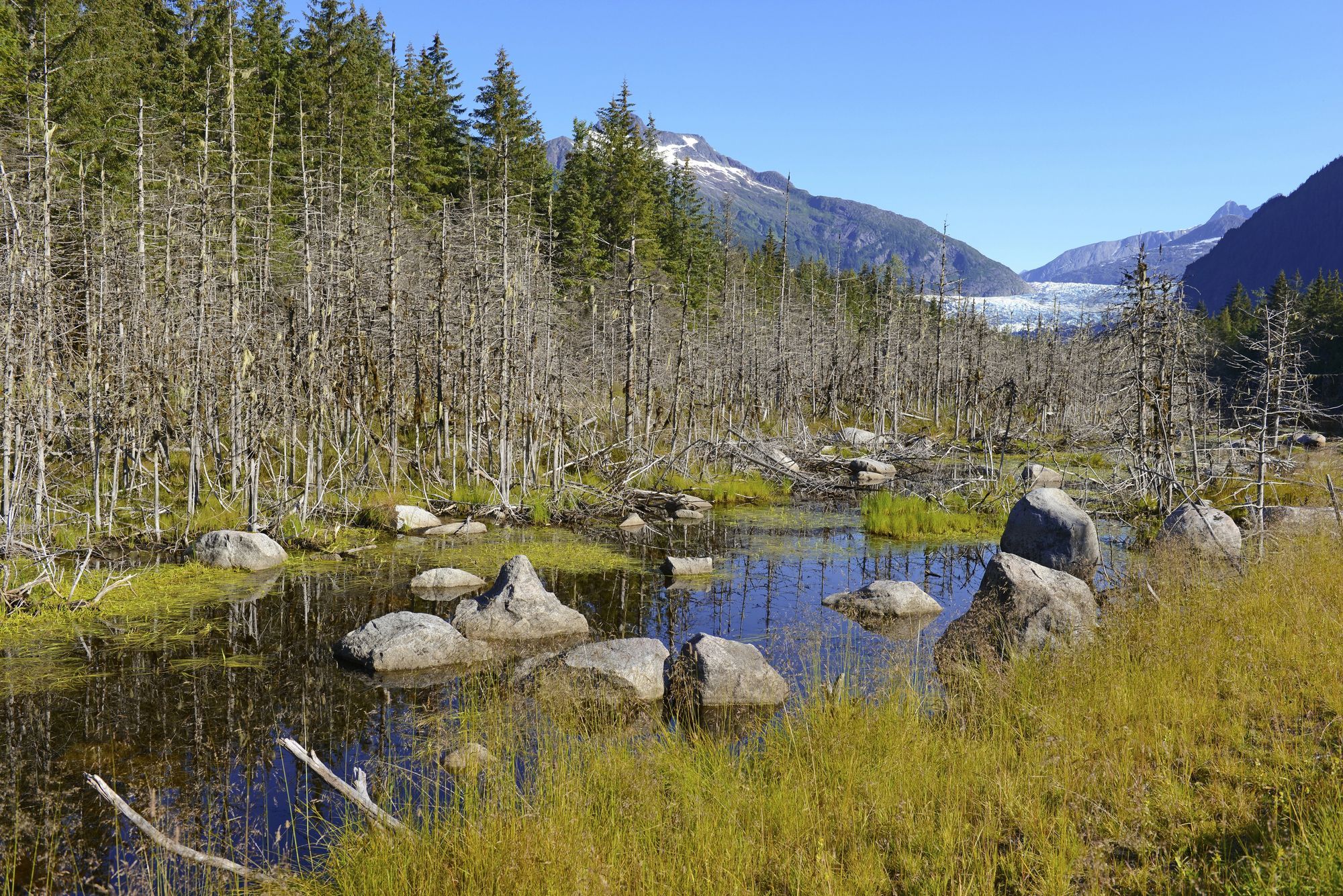 Visit Alaska's National Parks