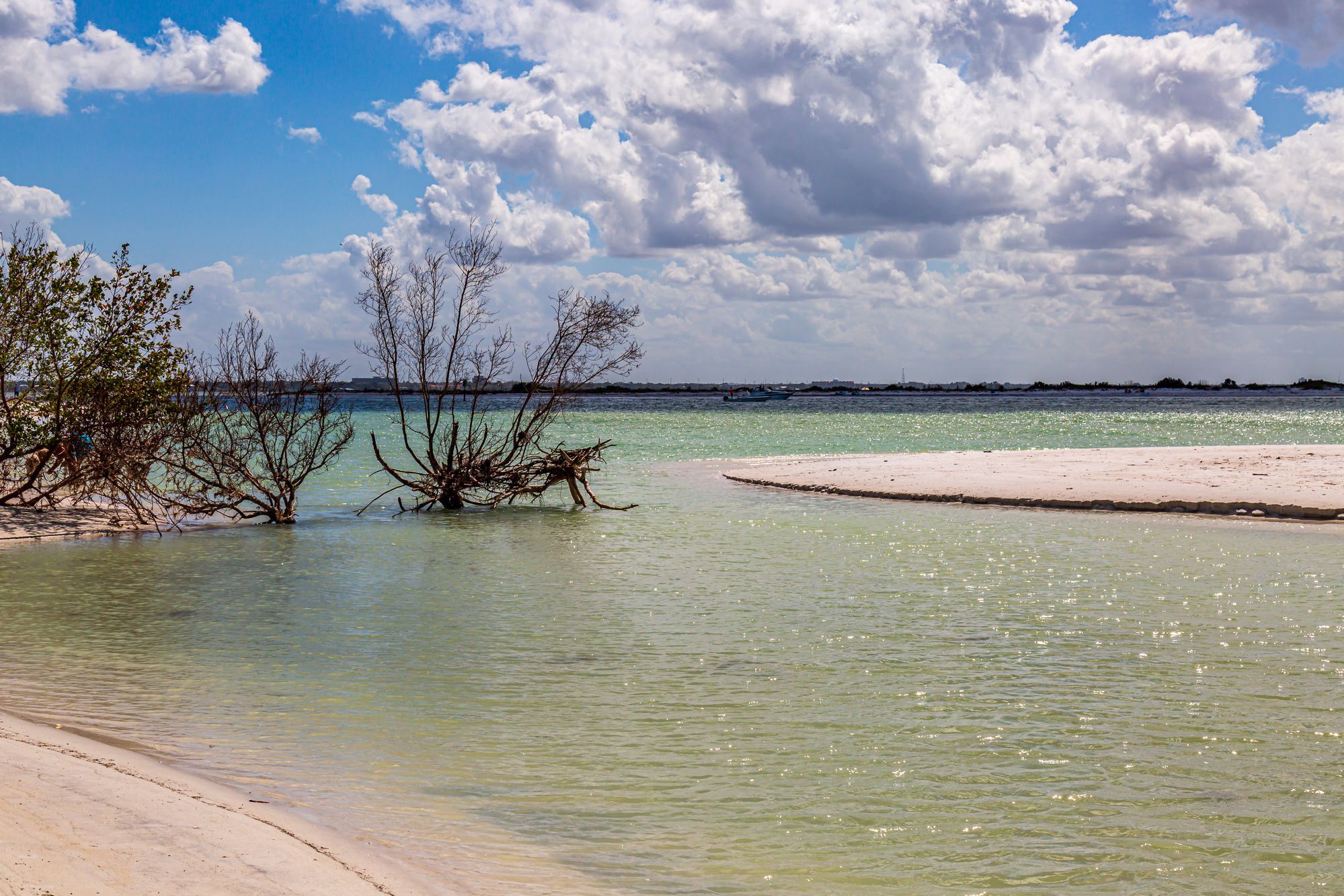 Honeymoon Island State Park