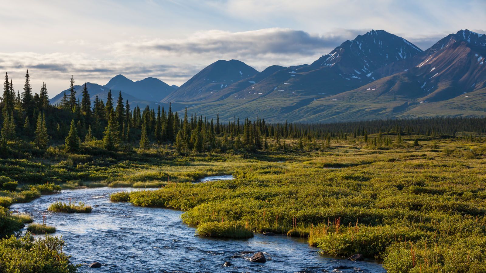 Alaskan Wilderness