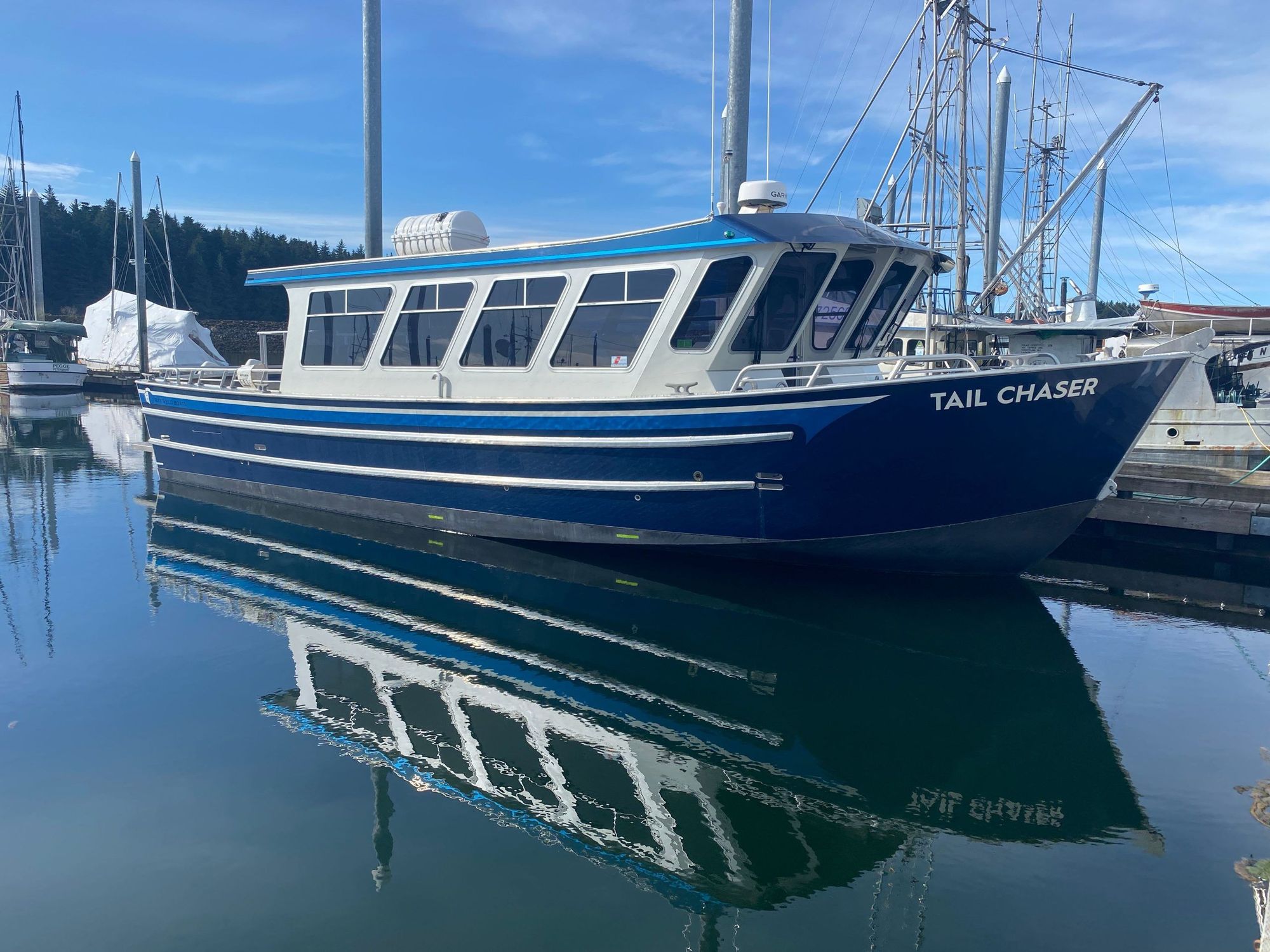 Whale-Watching Boat