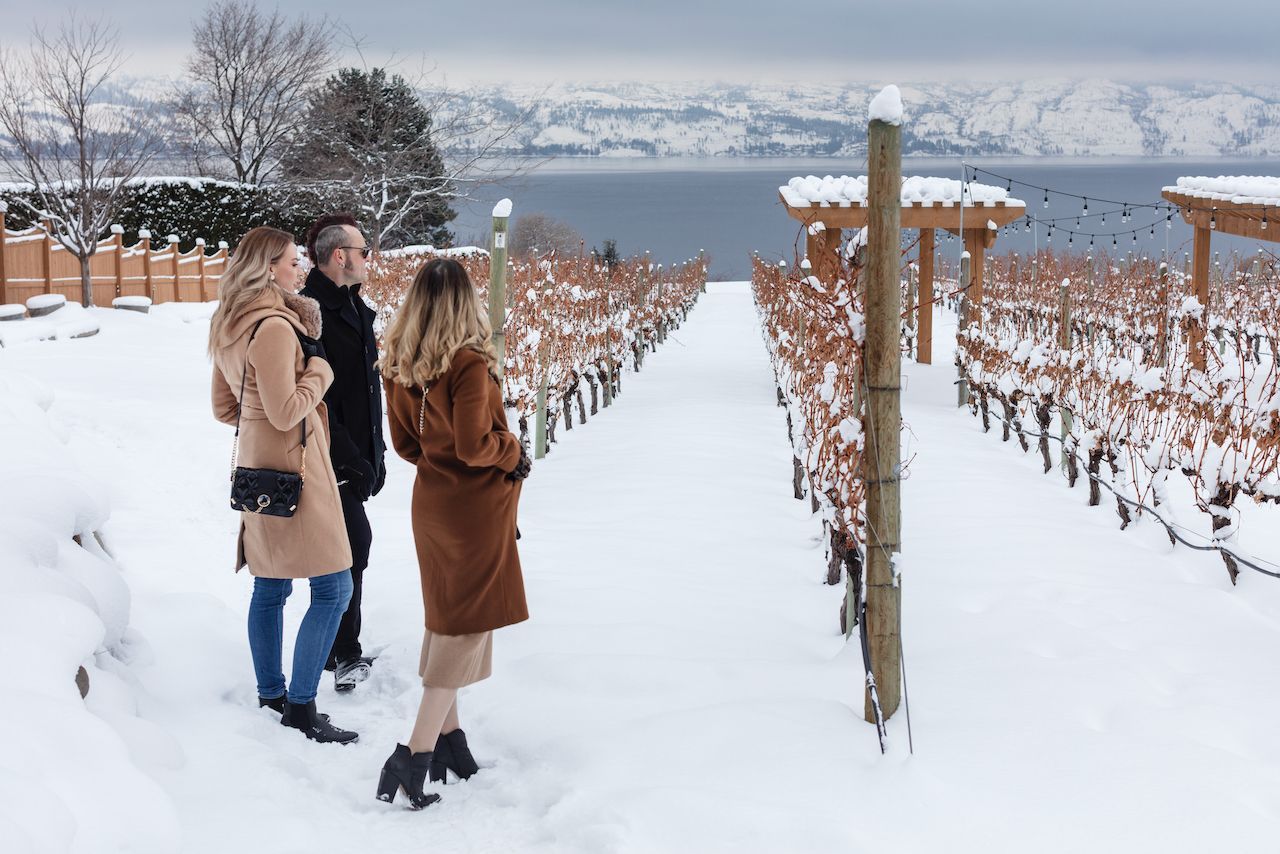 A wine tour guide with guests during winter examining a vineyard.