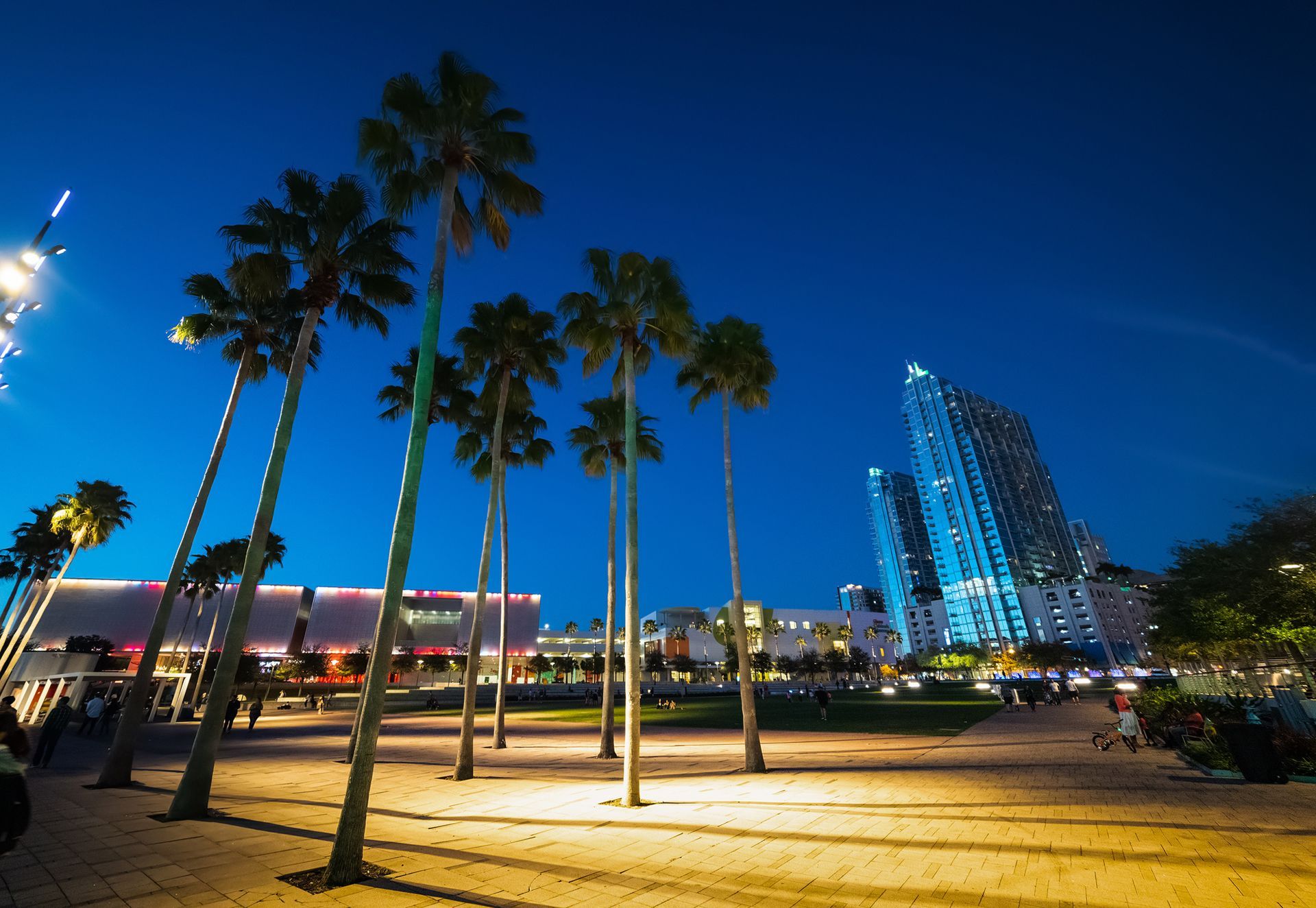 Curtis Hixon Waterfront Park In Downtown Tampa At Night