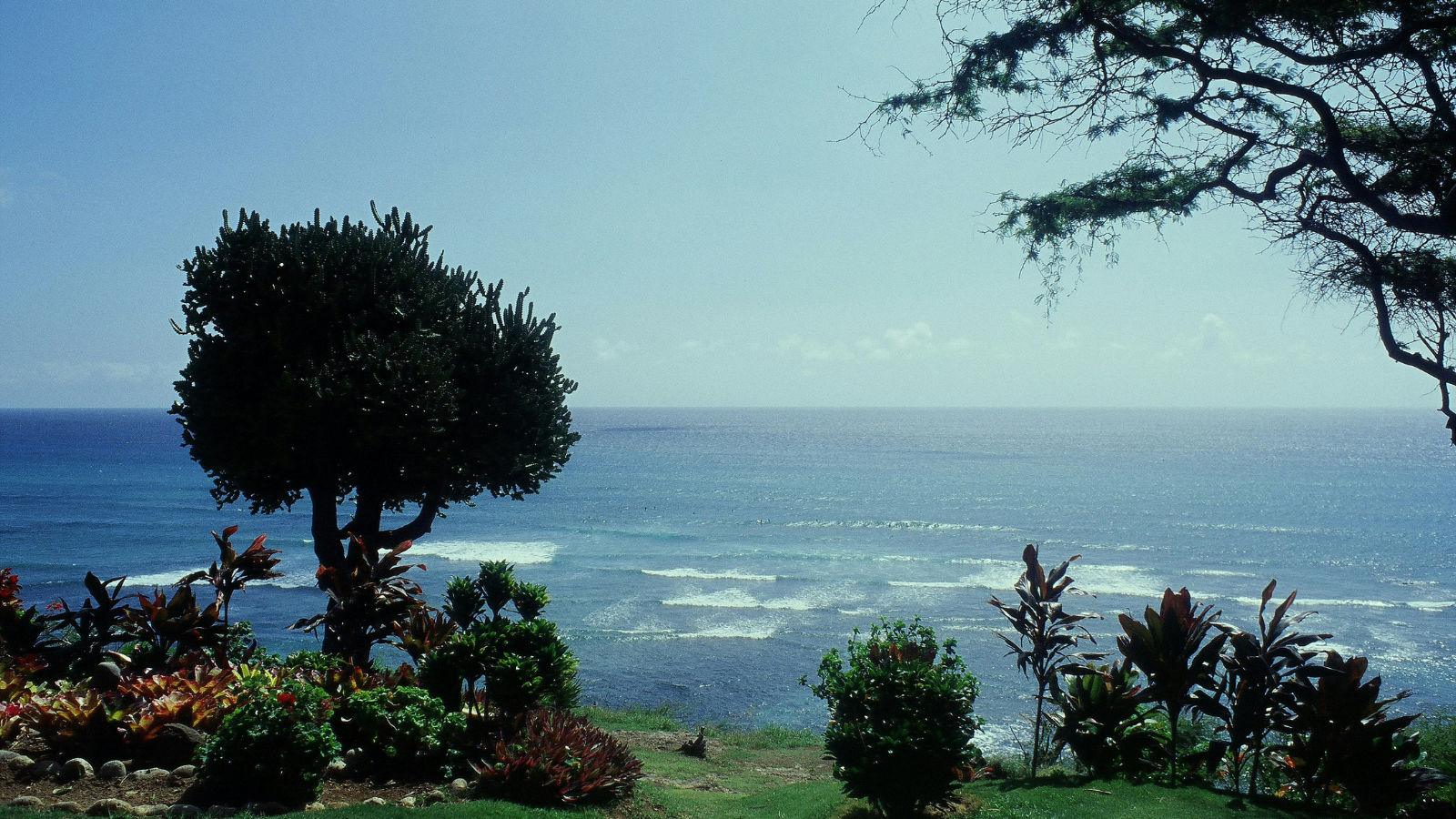 diamond head beach park