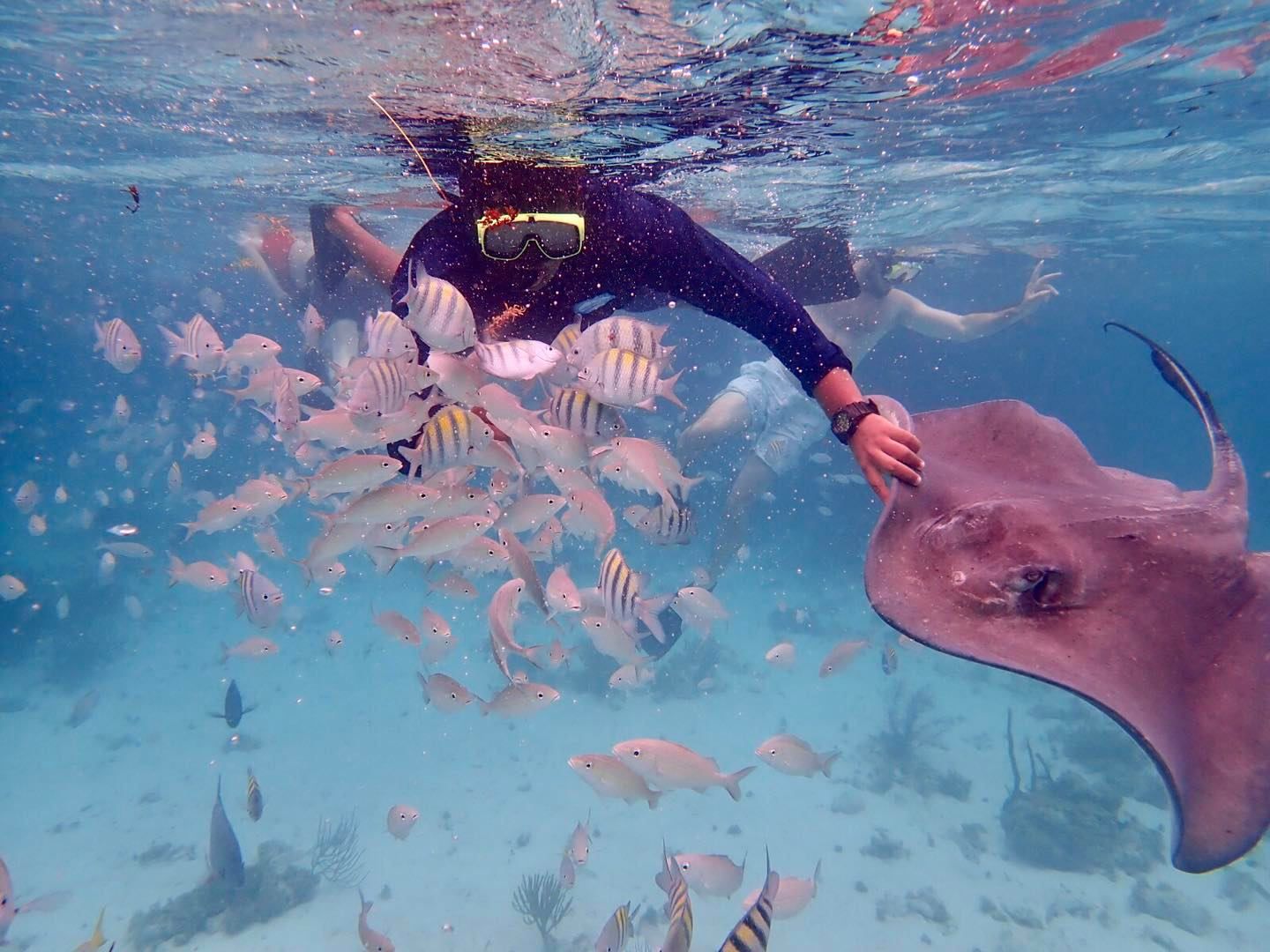 The Best Snorkeling In Grand Cayman