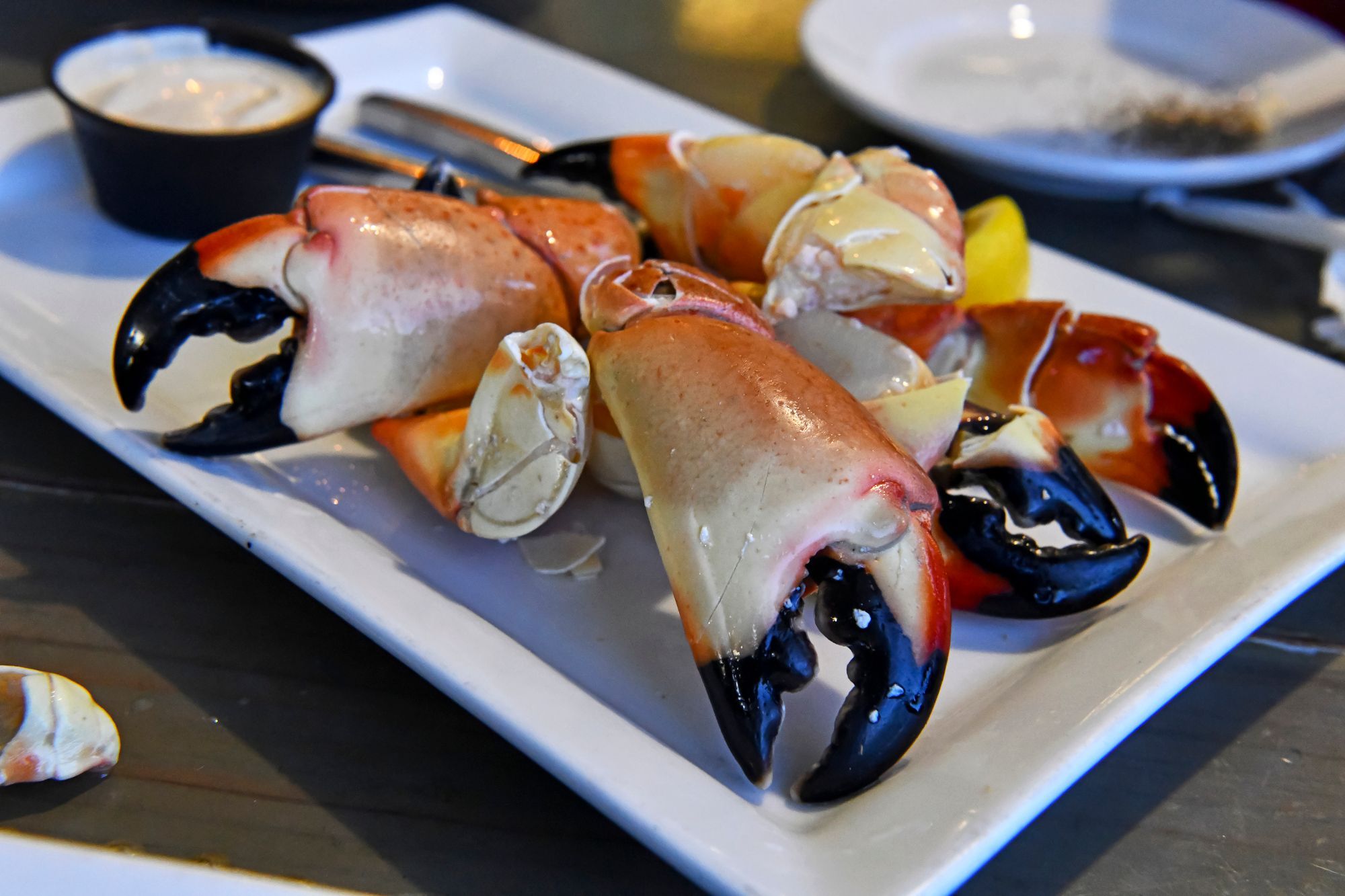 Key West Stone Crab