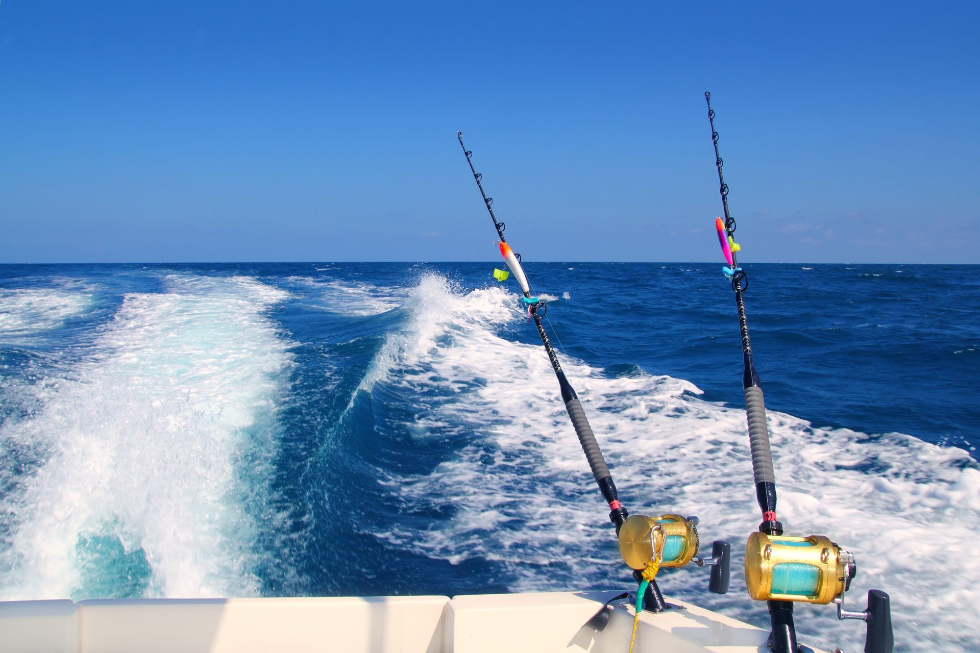 Sport Fishing Tour Near Key Largo