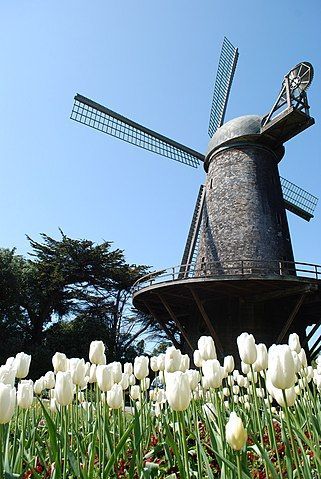  Golden Gate Park - Dutch Windmill  CC 4.0  Jrozwado Wikimedia 