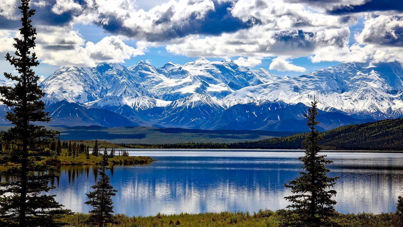 Denali In Spring