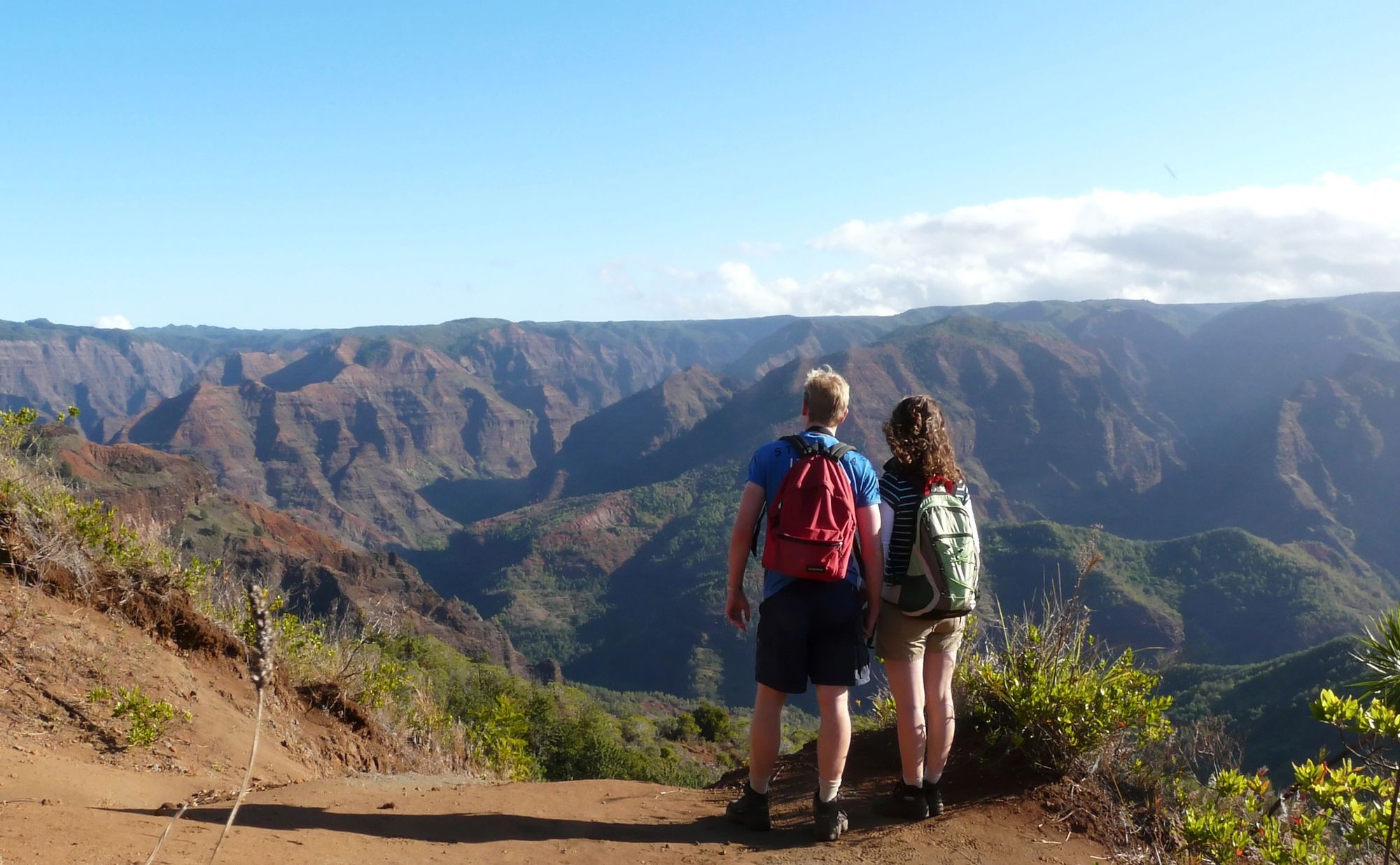 Waimea Canyon On Kauai 