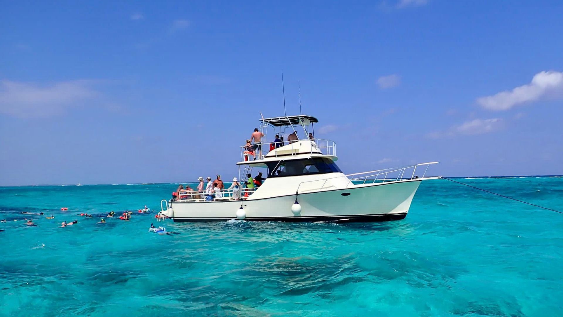 Grand Cayman Stingray And Snorkel Excursion