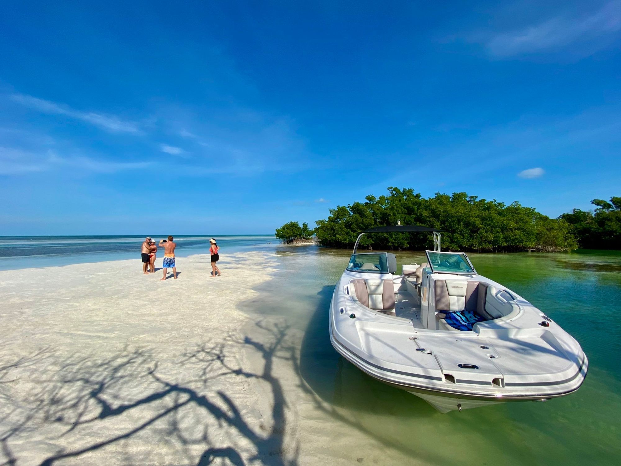 Visit Key West - Mangrove Safari 