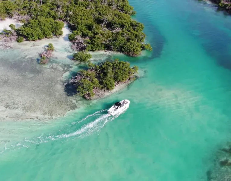 Experience The Laid Back Vibe Of This Island Paradise With Key West Boat Trips