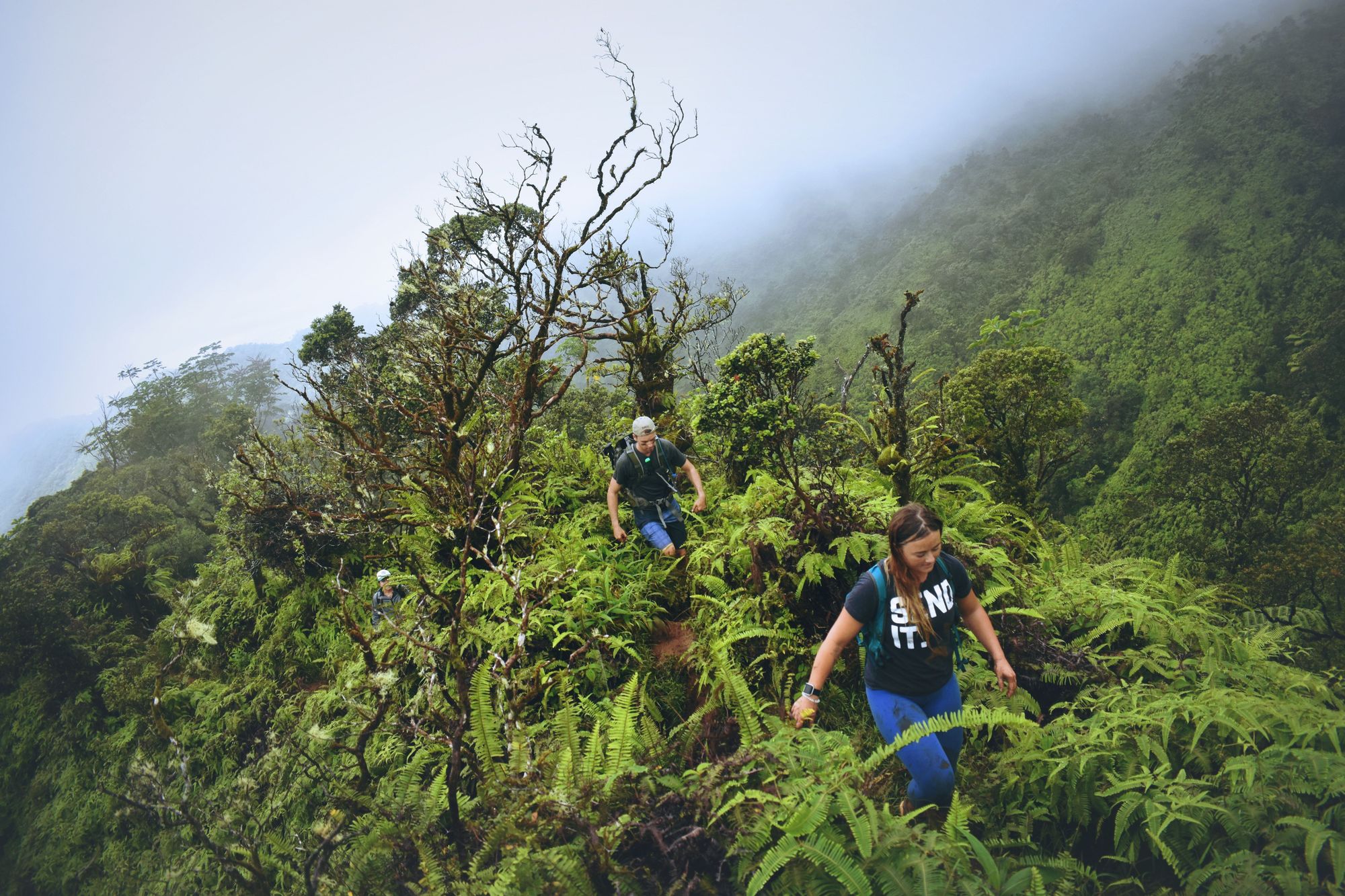 Valentine's Day Romantic Hike In Hawaii