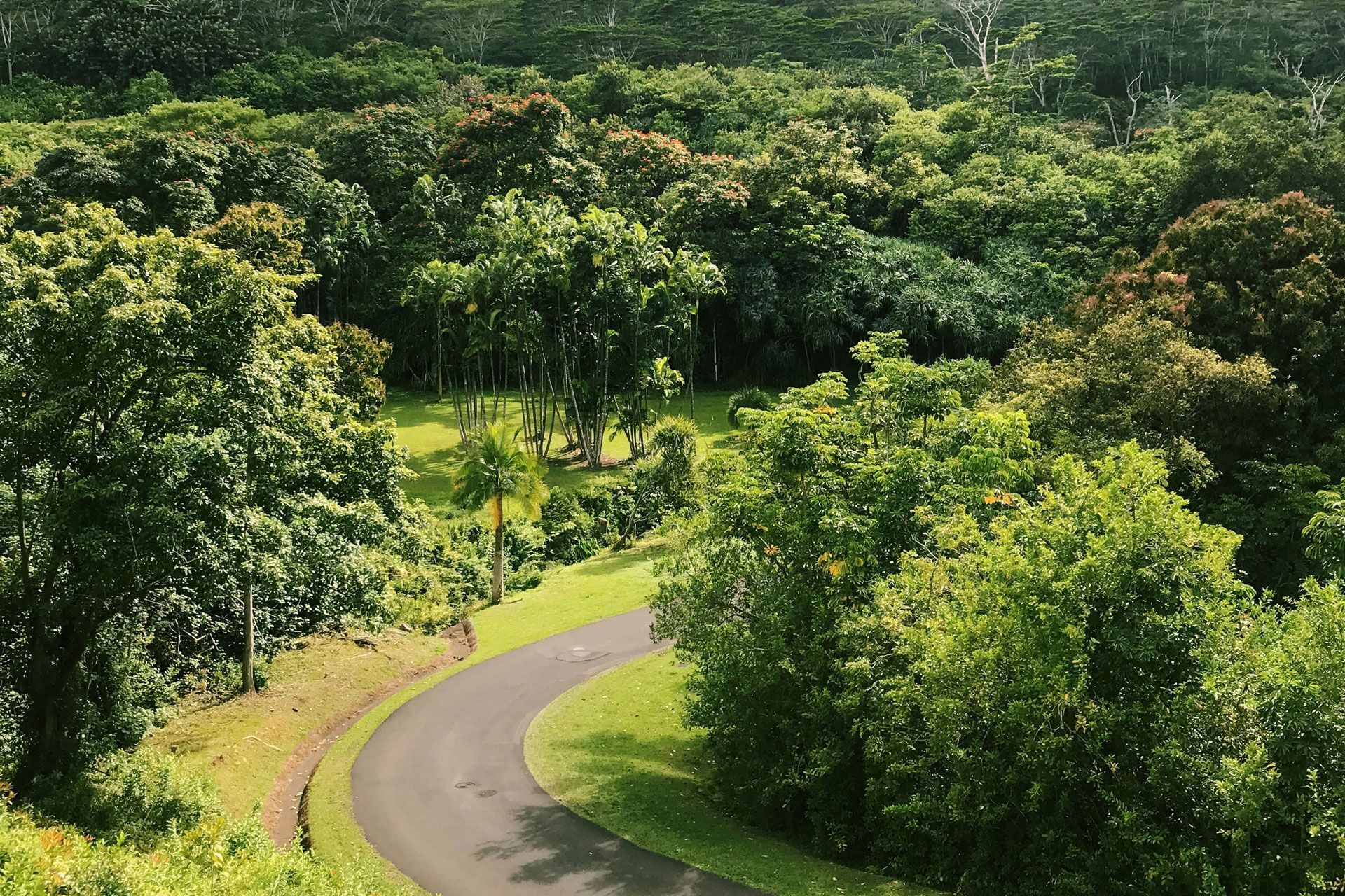 Ho'omaluhia Botanical Garden