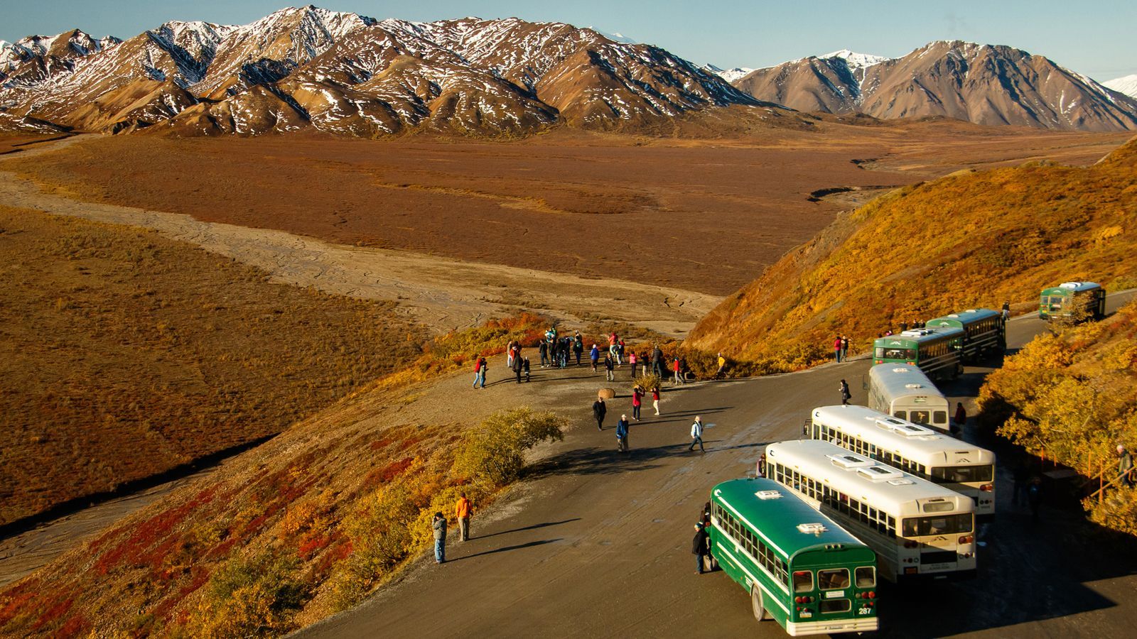 Summer Bus Tours In Denali