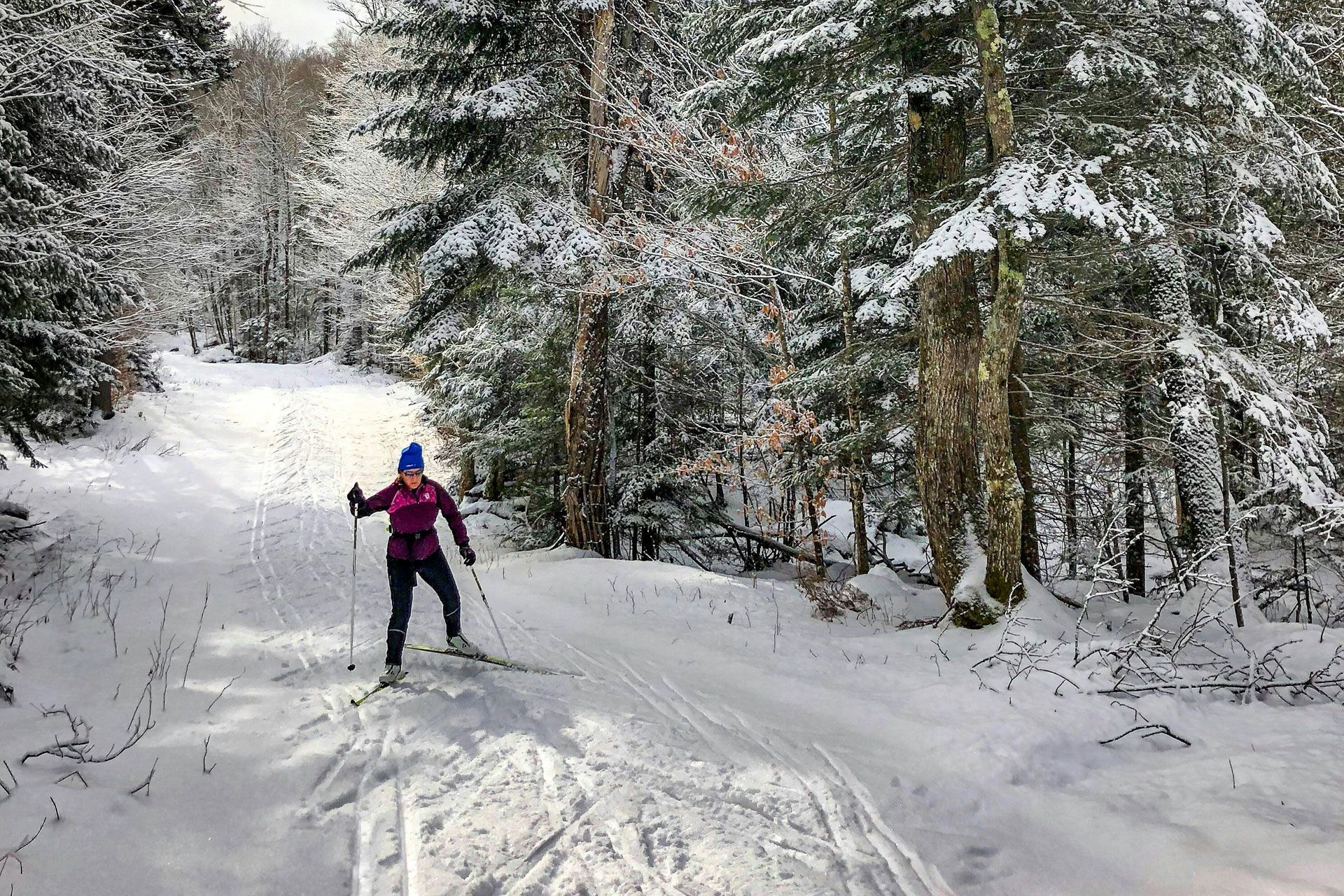 Cross Country Skiing In Minnesota