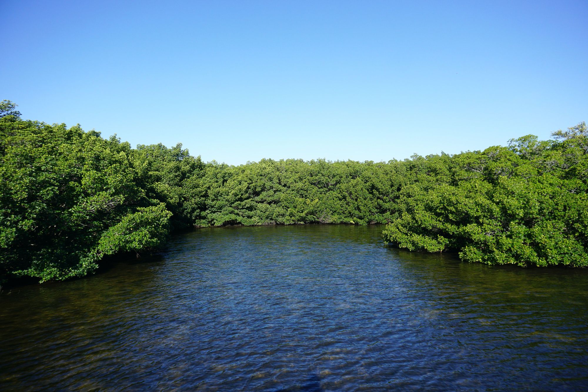 Marquesas Key