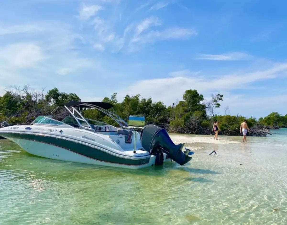 Private Sandbar Excursion For Cruise Ship Passengers