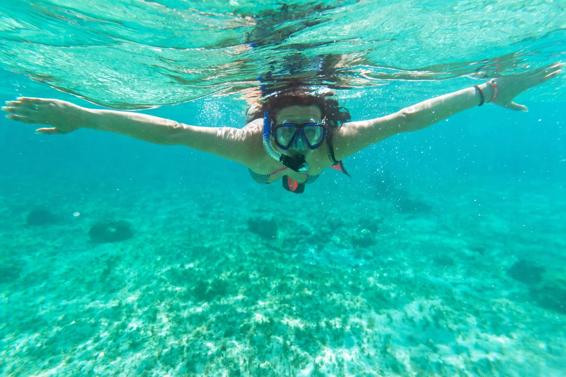 Snorkel At Coral Garden Near Stingray City