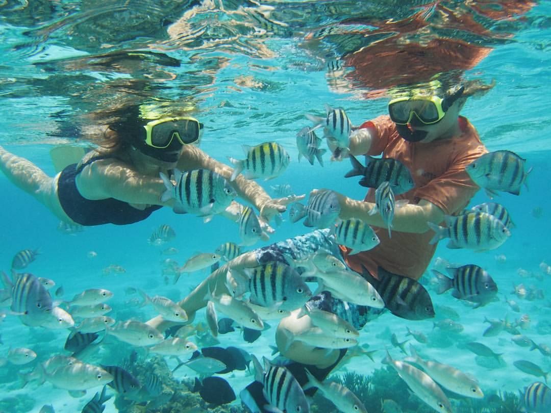 Snorkeling In Grand Cayman