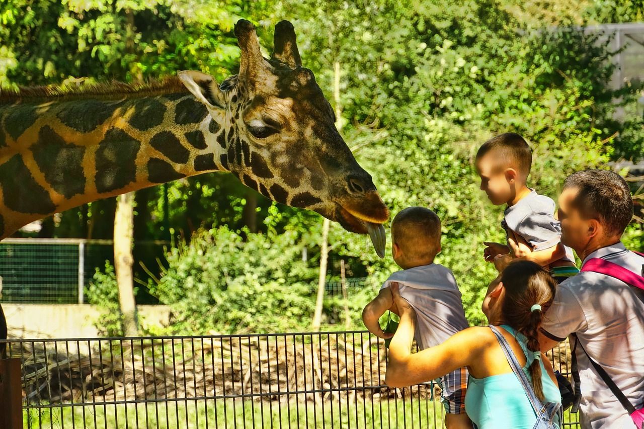 Holiday Season At Zoo Tampa