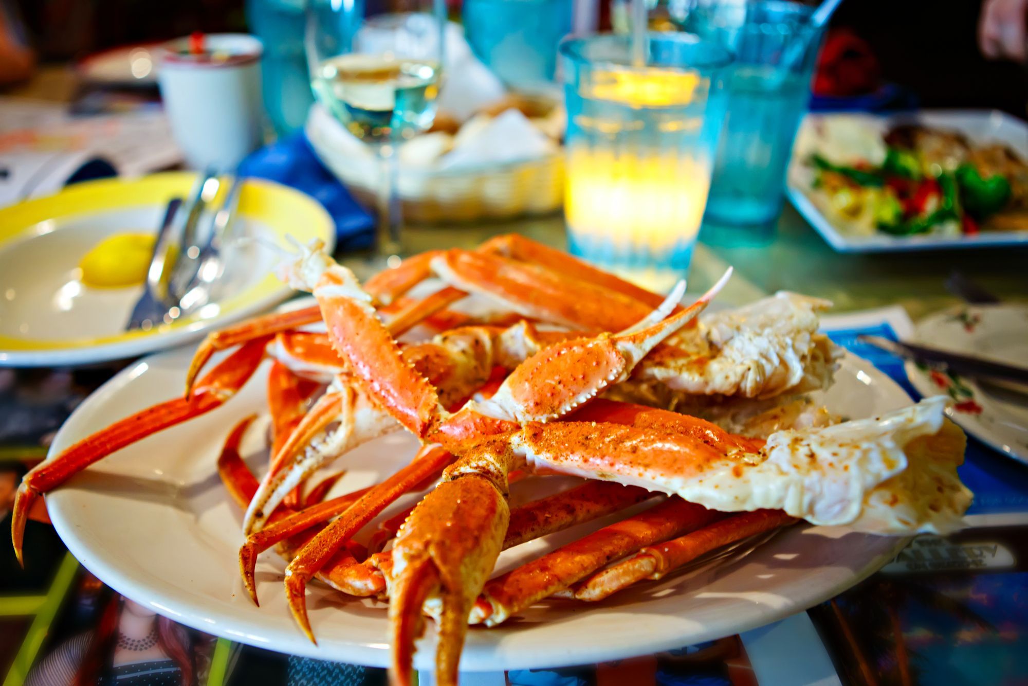 Taste Fresh Key West Local Seafood