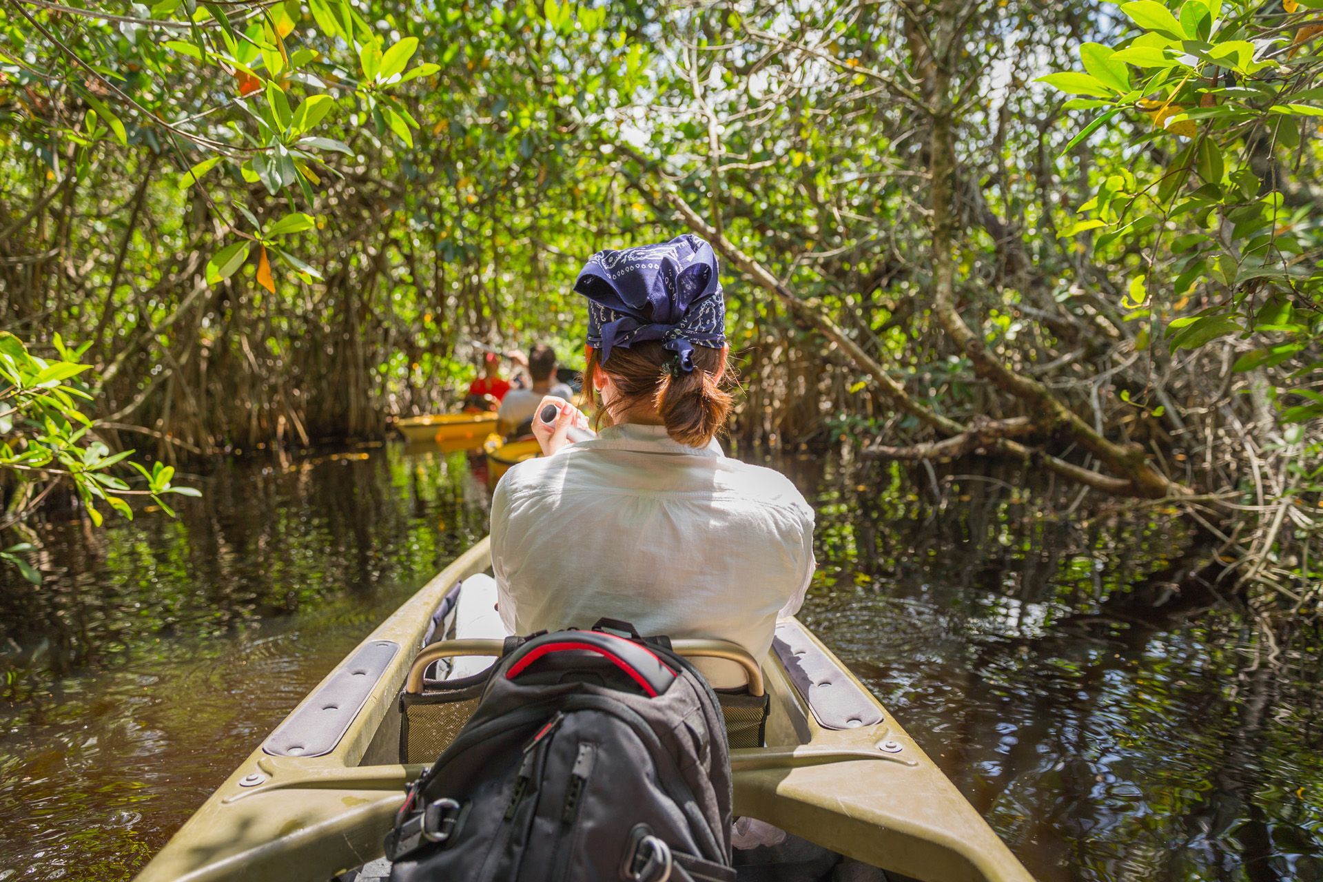 Kayak At Weedon Island Preserve