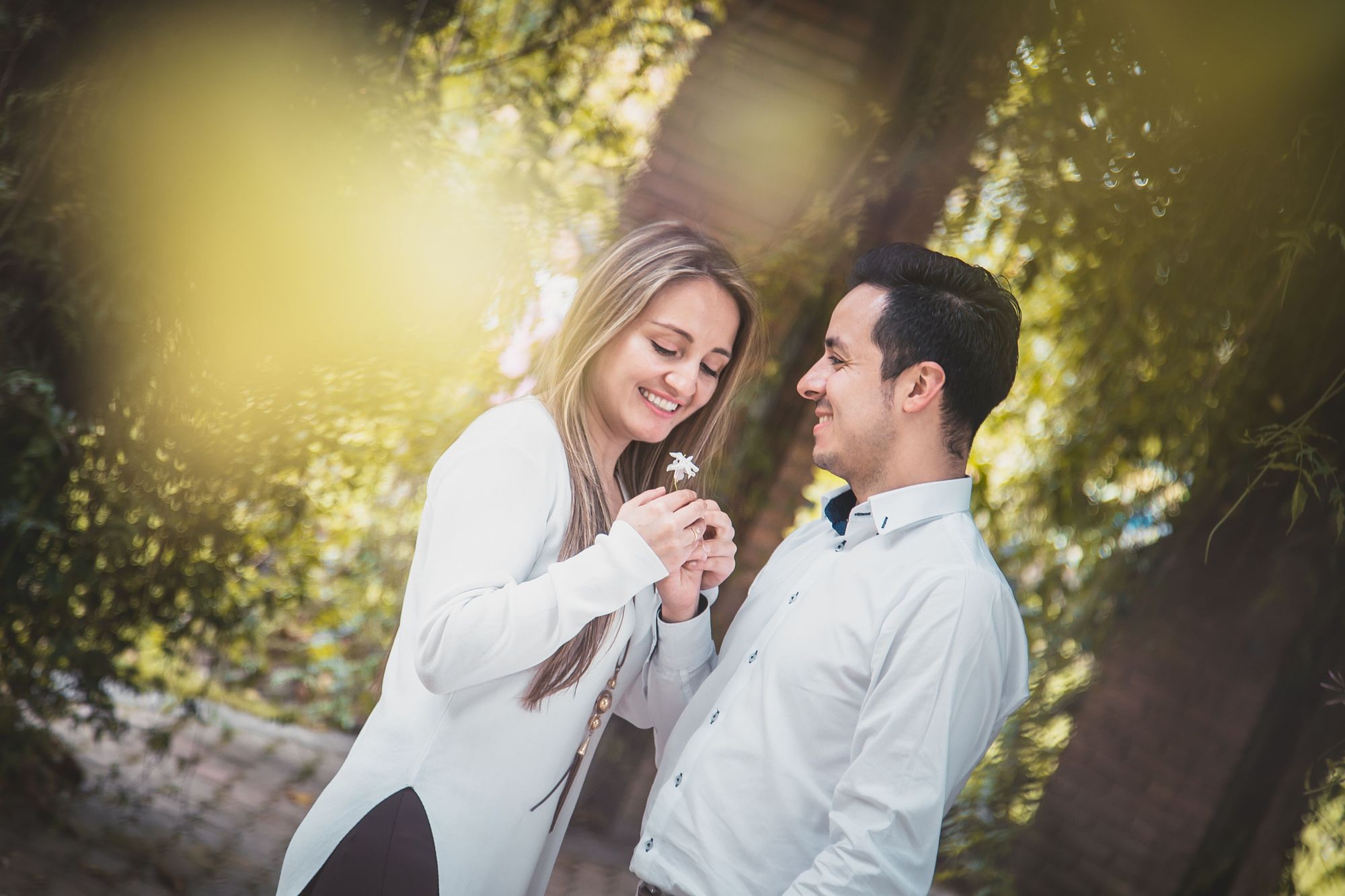 Take A Romantic Stroll With Your Partner At The University Of South Florida Botanical Gardens