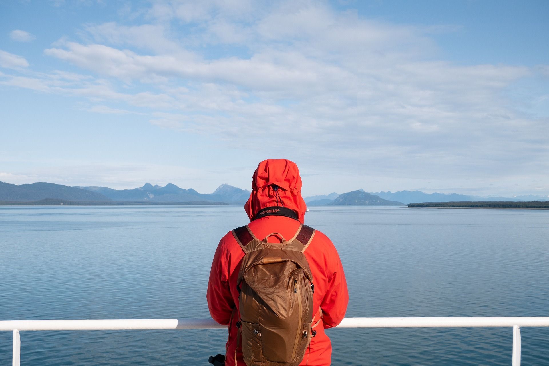 What To Pack For A Whale Watching Tour