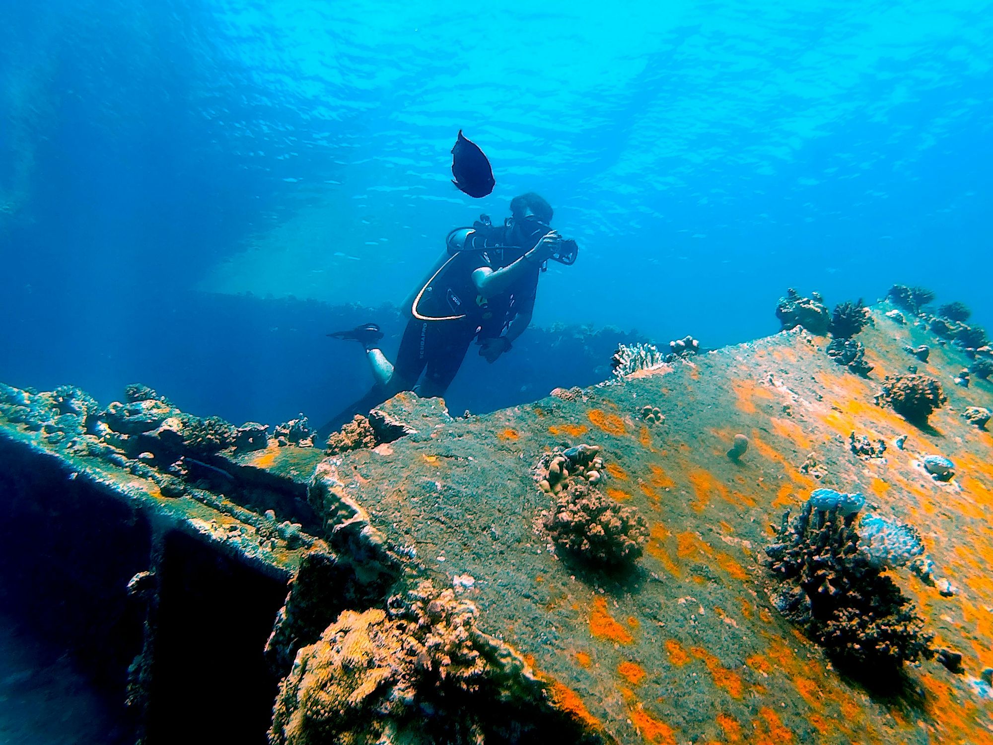 Visit The Wreck Of The Cali In Grand Cayman