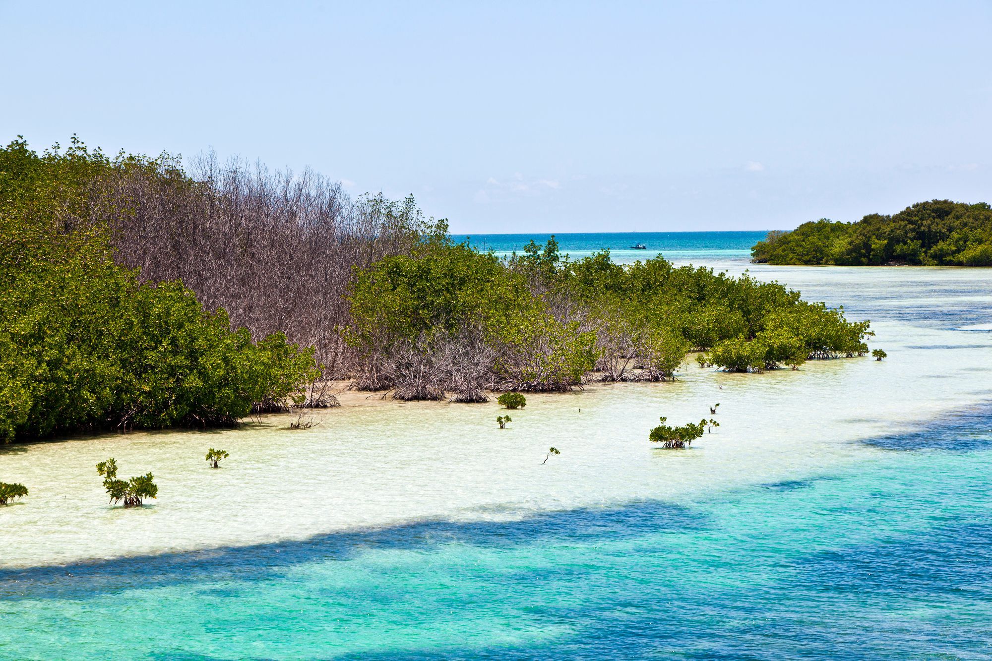 The Key West National Wildlife Refuge