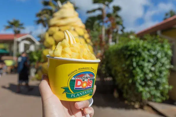 Dole Whip Dessert