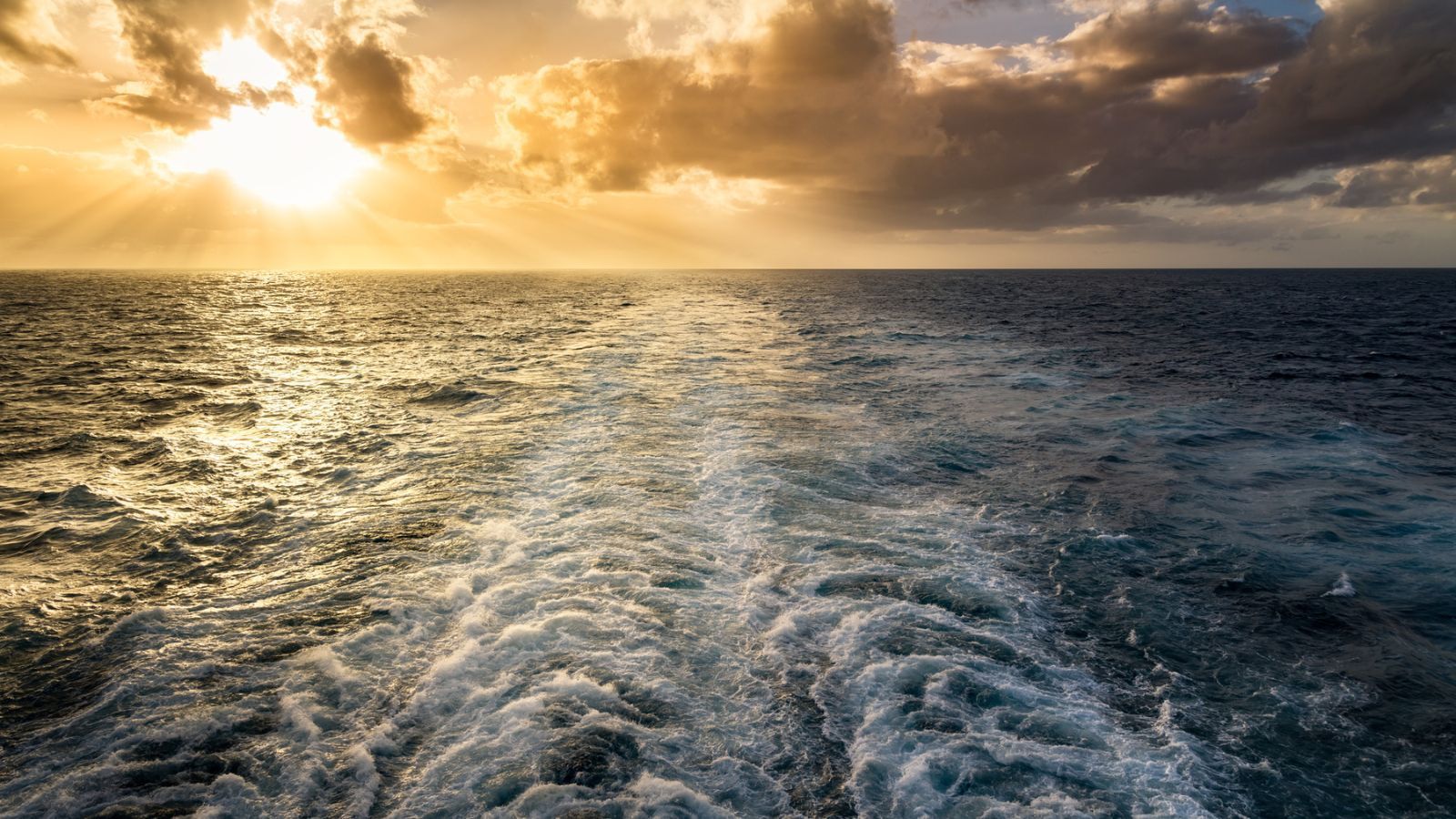 Sunset Cruise Near Clearwater Beach