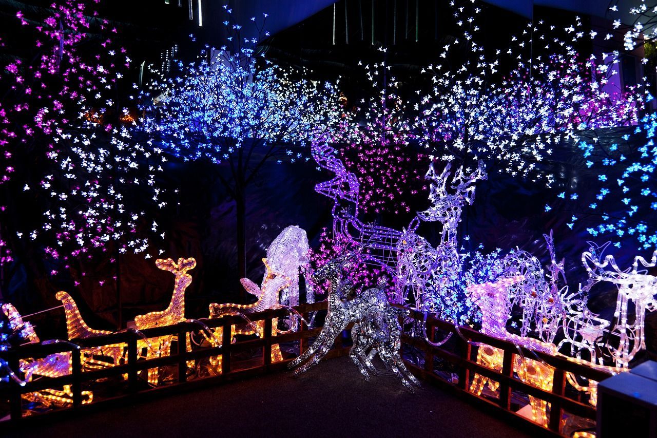 Discover Holiday Fun At The Hillsborough County Fairgrounds
