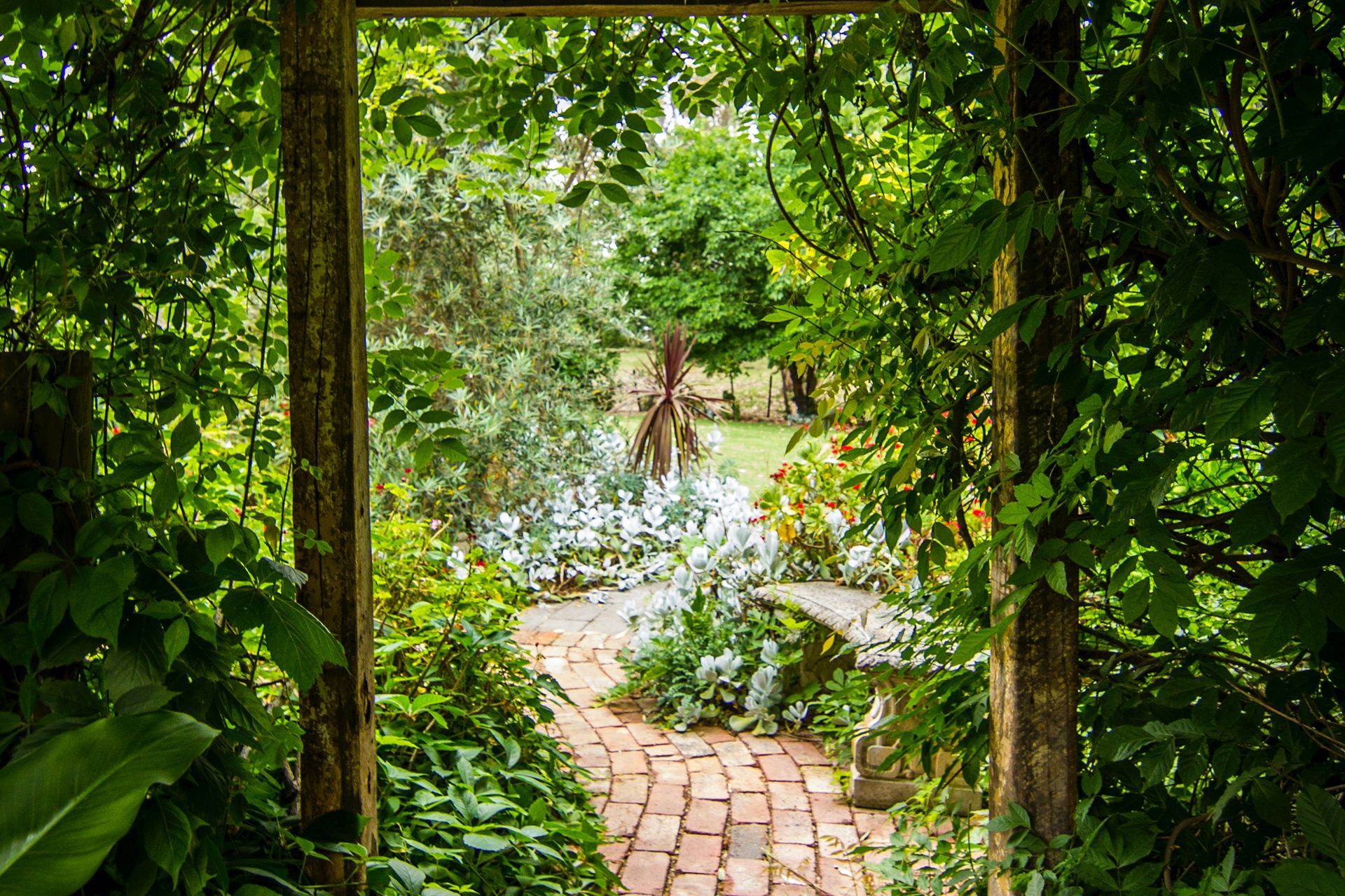 Tropical Garden