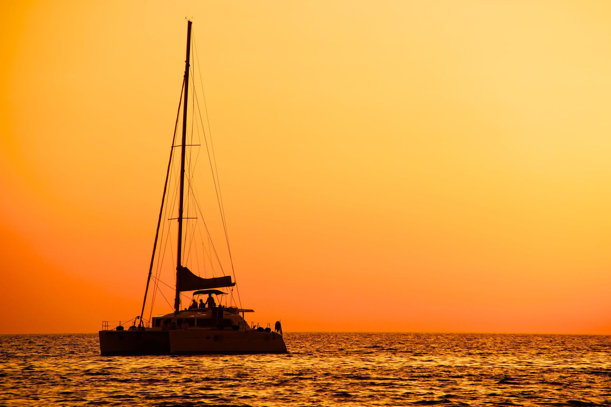 Watch The Sunset On A Sunset Sail