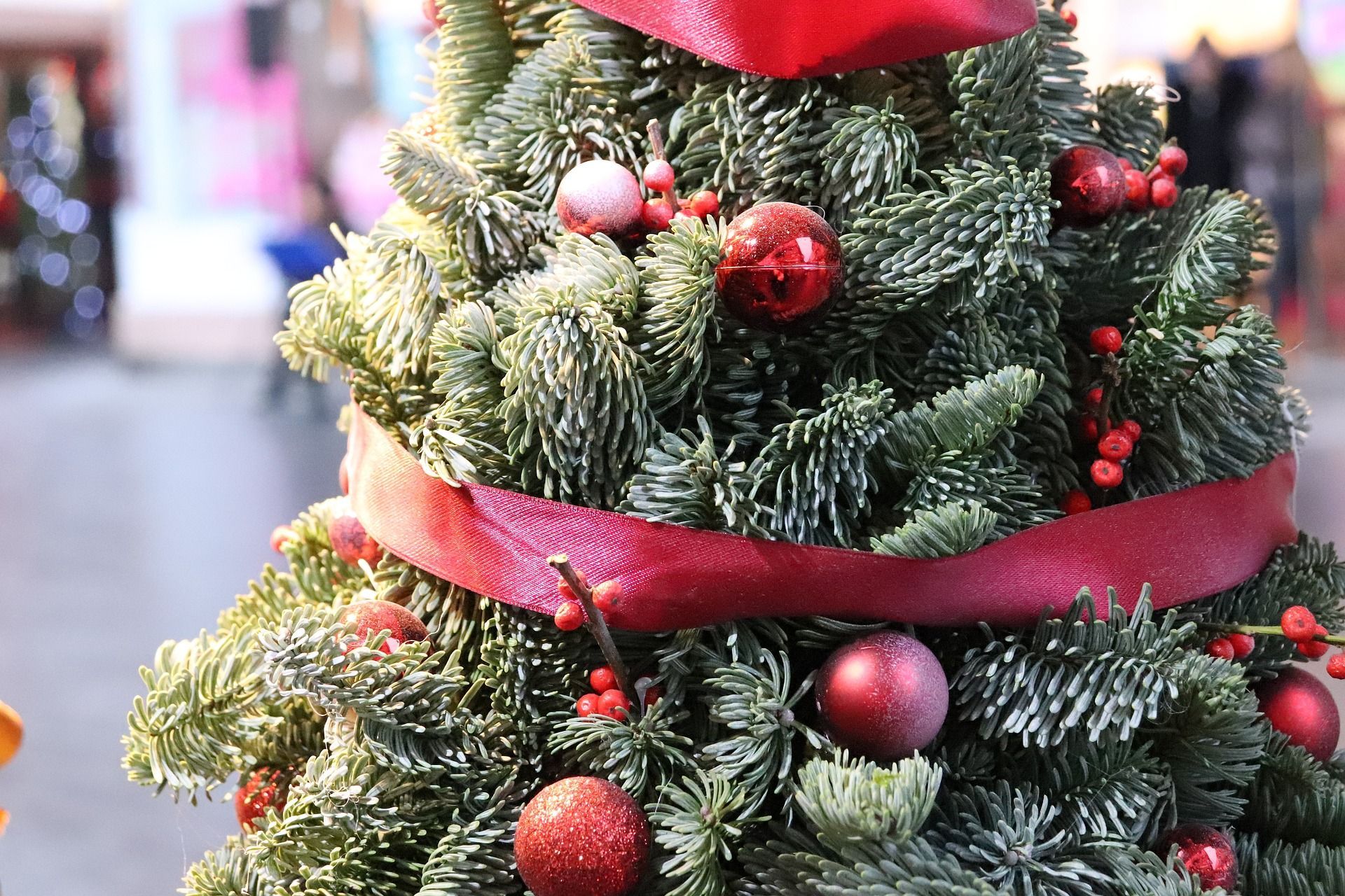 Christmas Tree In Honolulu Hale