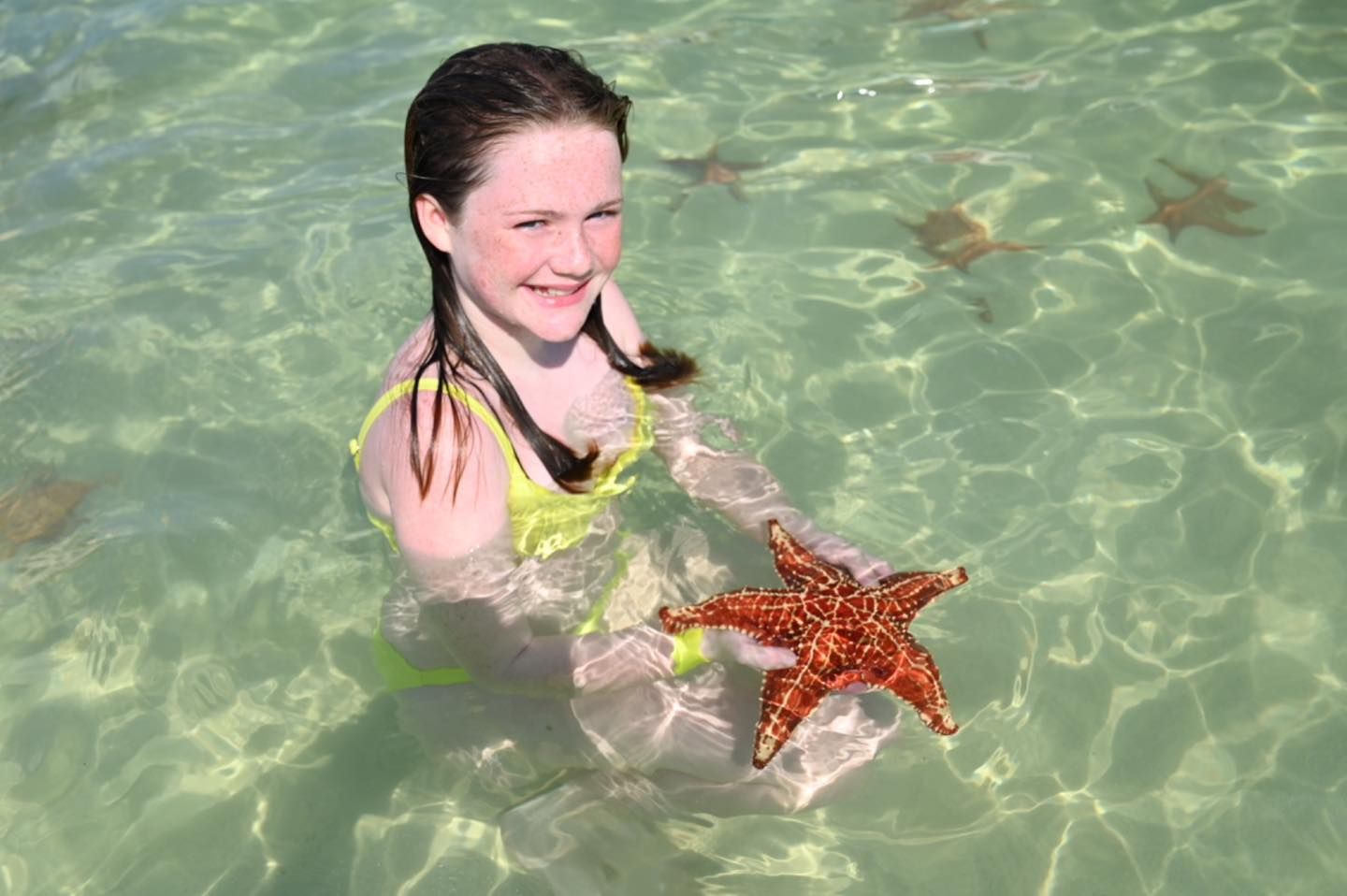 Encounter Starfish At Starfish Point Grand Cayman