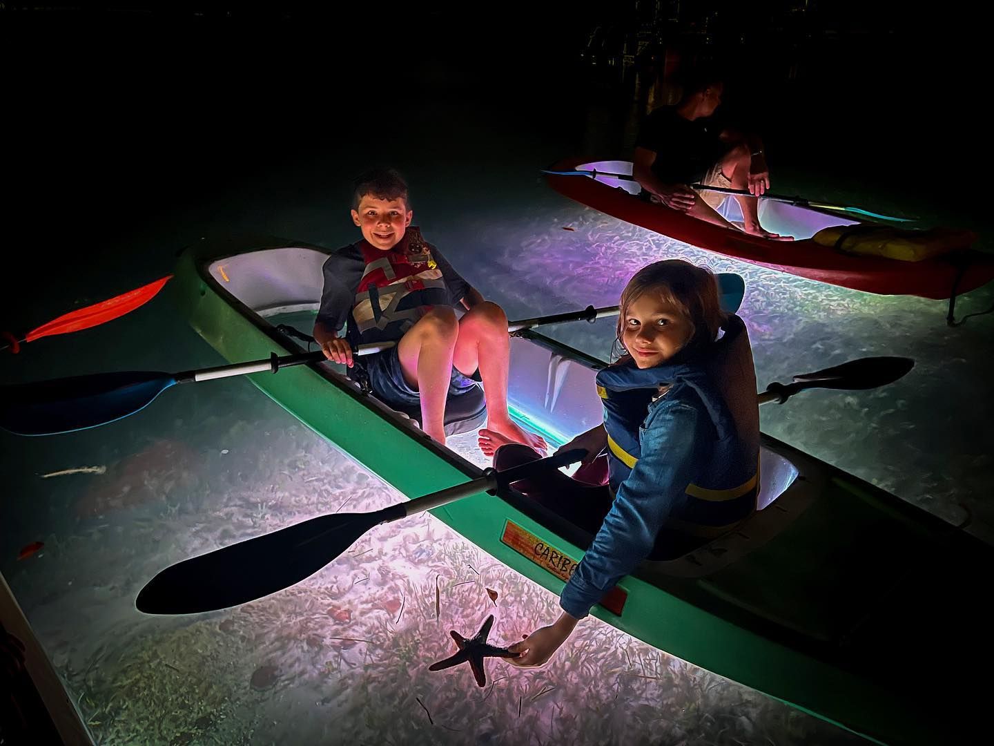 Kayaking In Key West Mangrove Tunnels