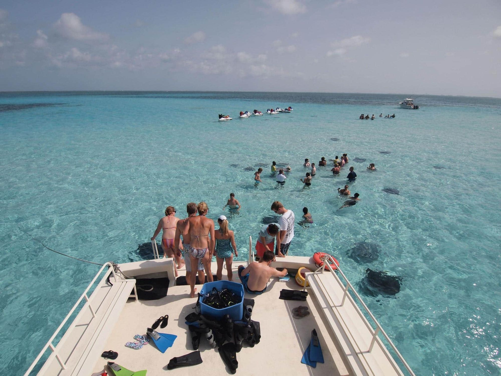 Where Is Stingray City? Join Us On A Grand Cayman Stingray City Tour