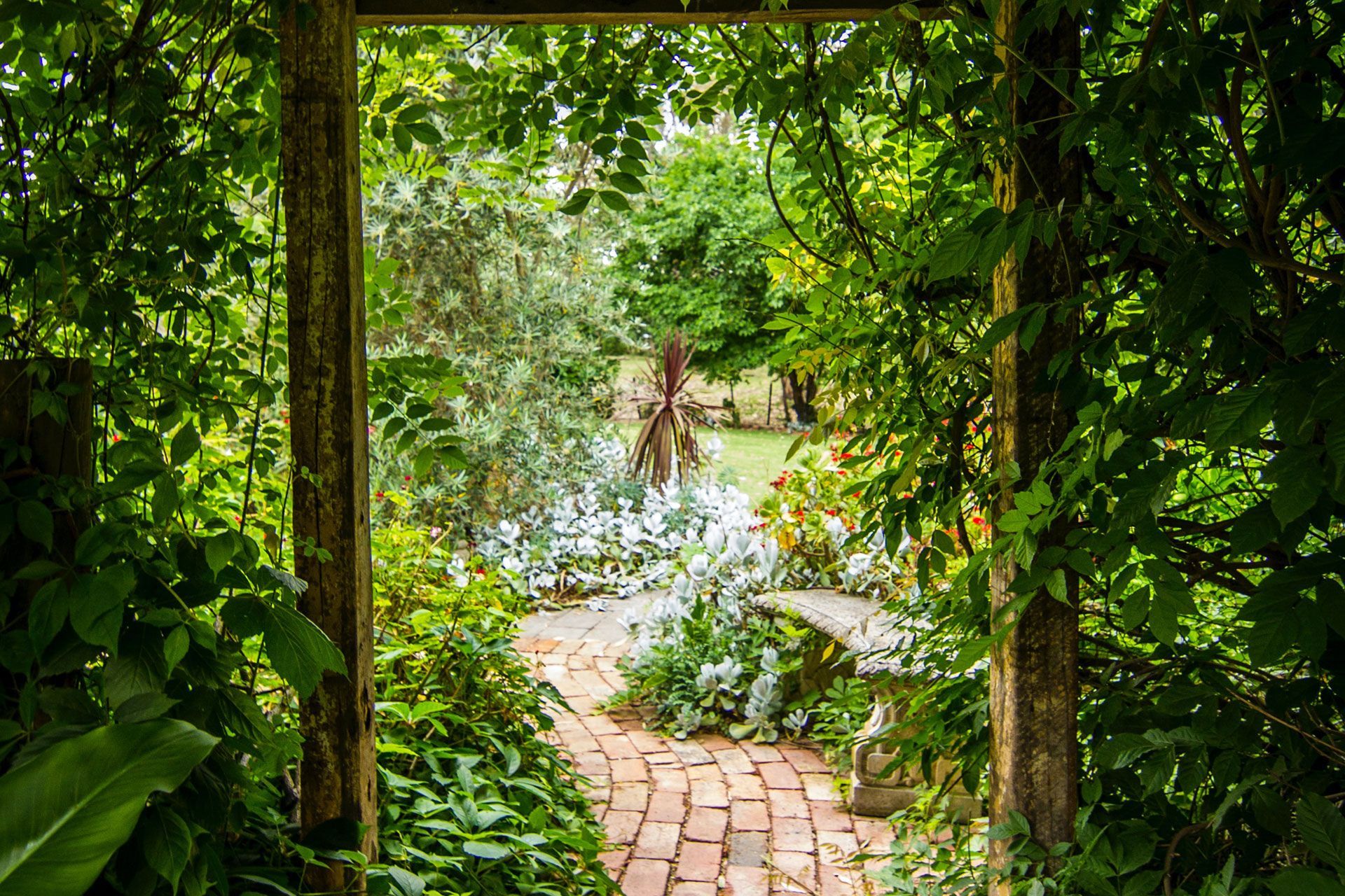 Romantic Garden Path - Botanic Garden
