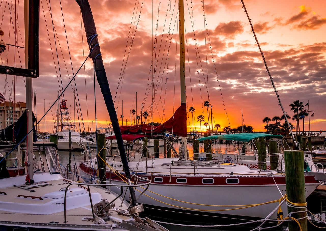 Dunedin Marina