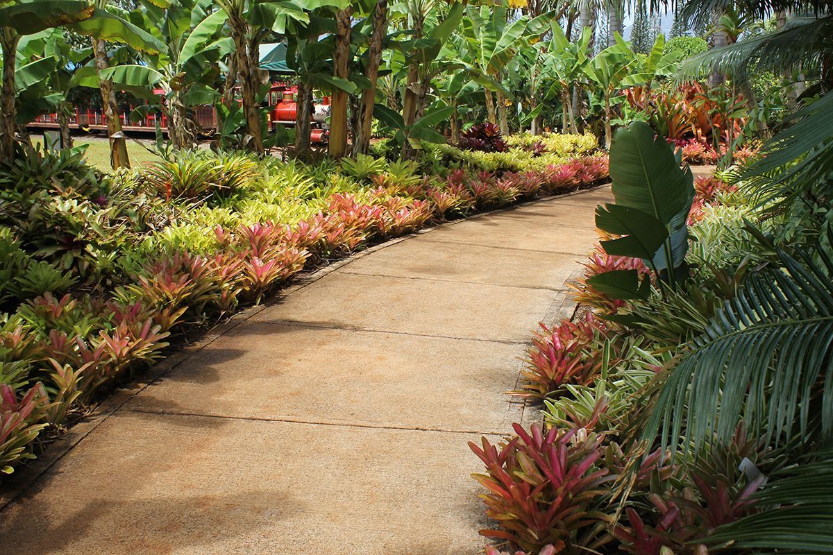 Dole Plantation Garden Tour