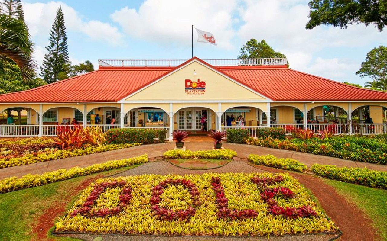 Dole Pineapple Plantation In Wahiawa, Oahu