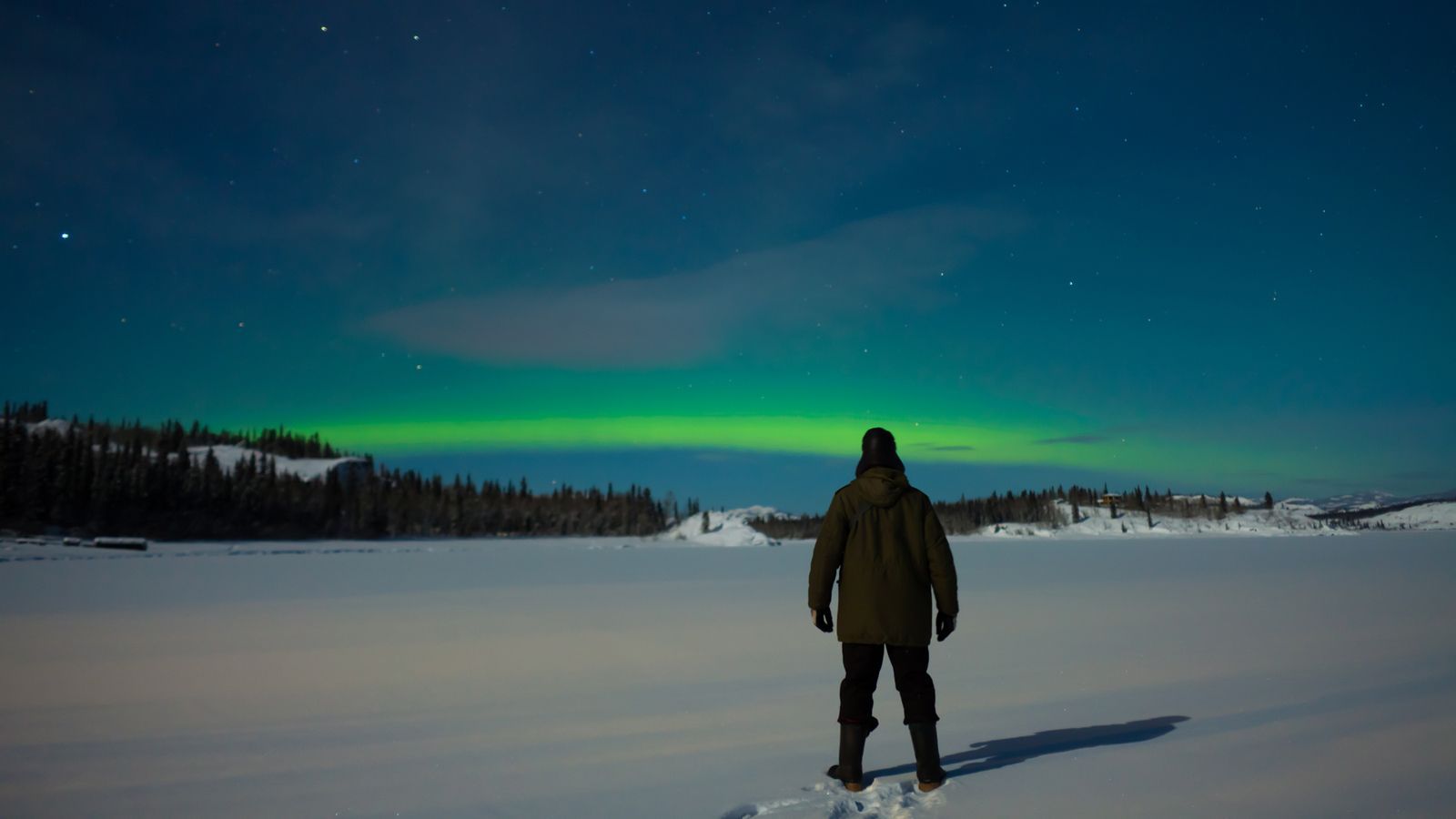 Northern Lights In Denali
