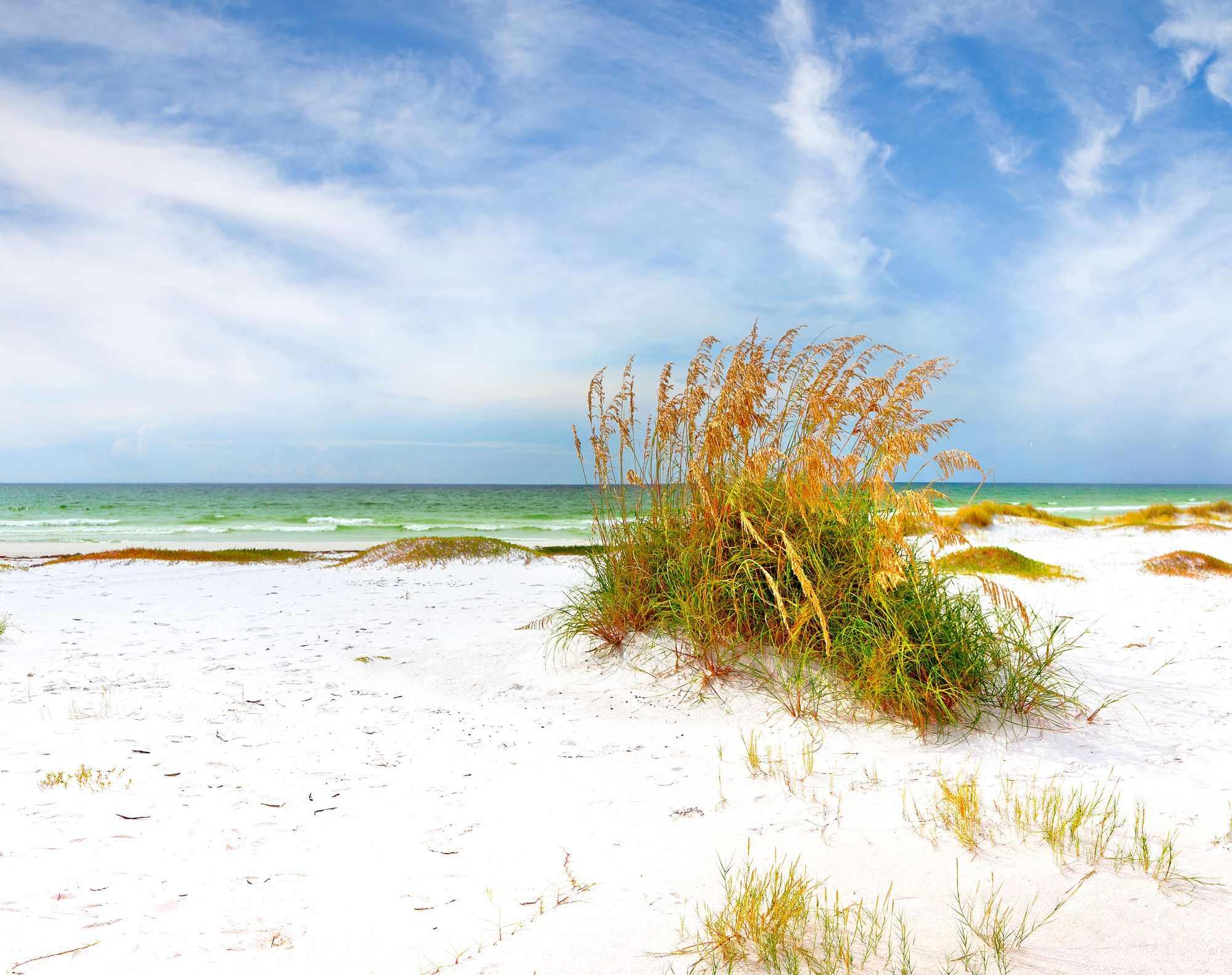 Sand Key Park