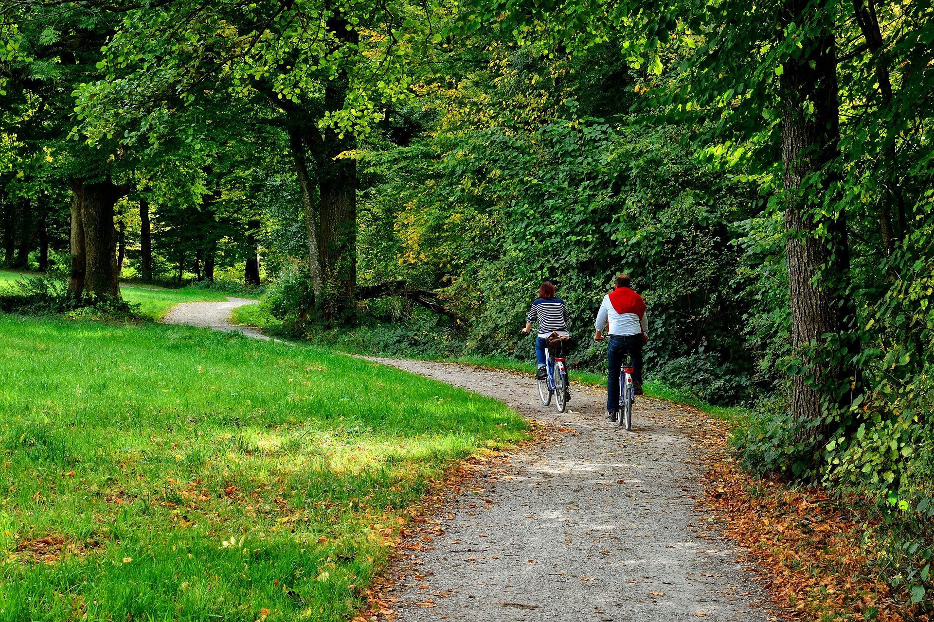 Hit The Biking Trails