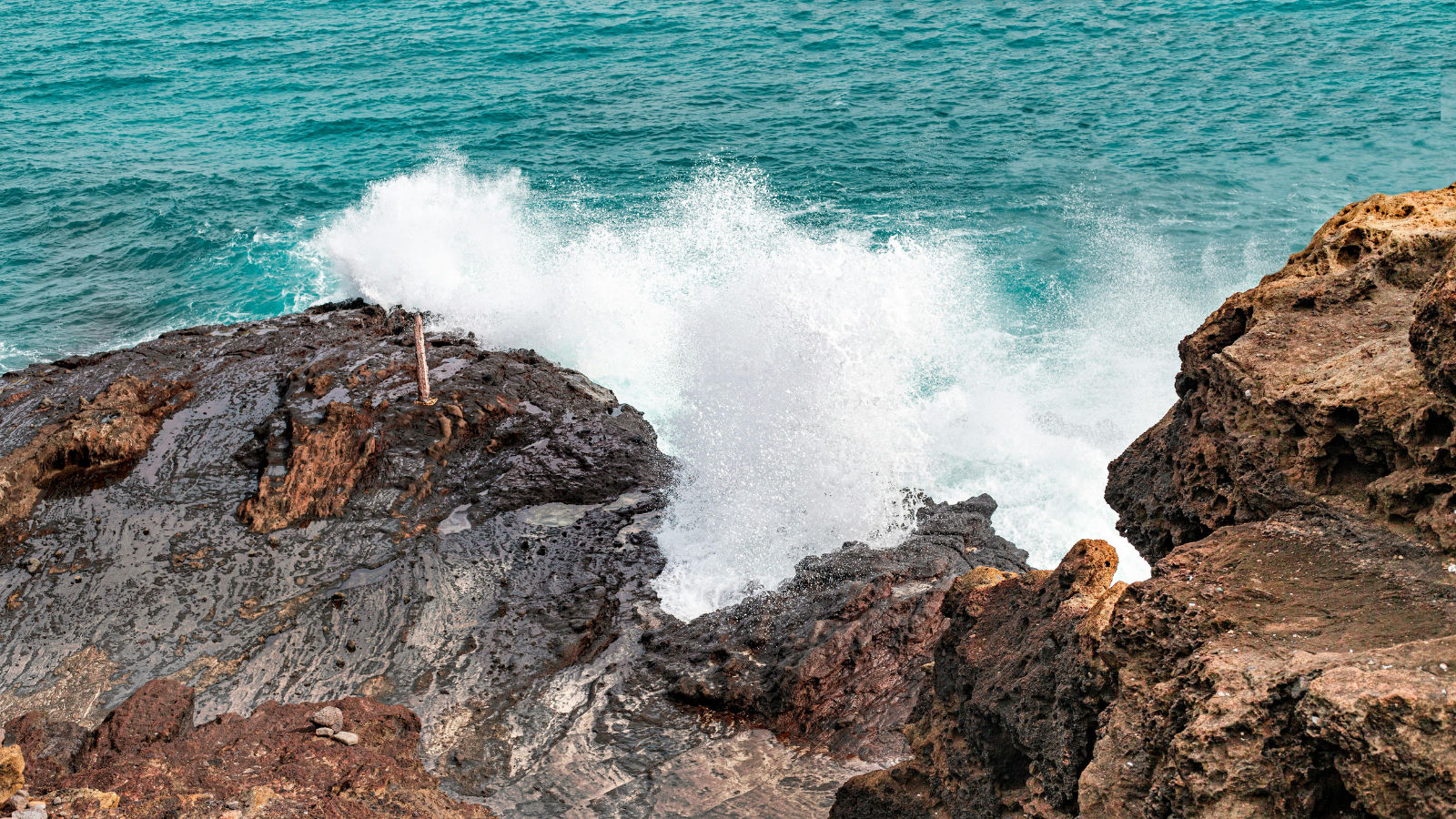 oahu halona beach cove